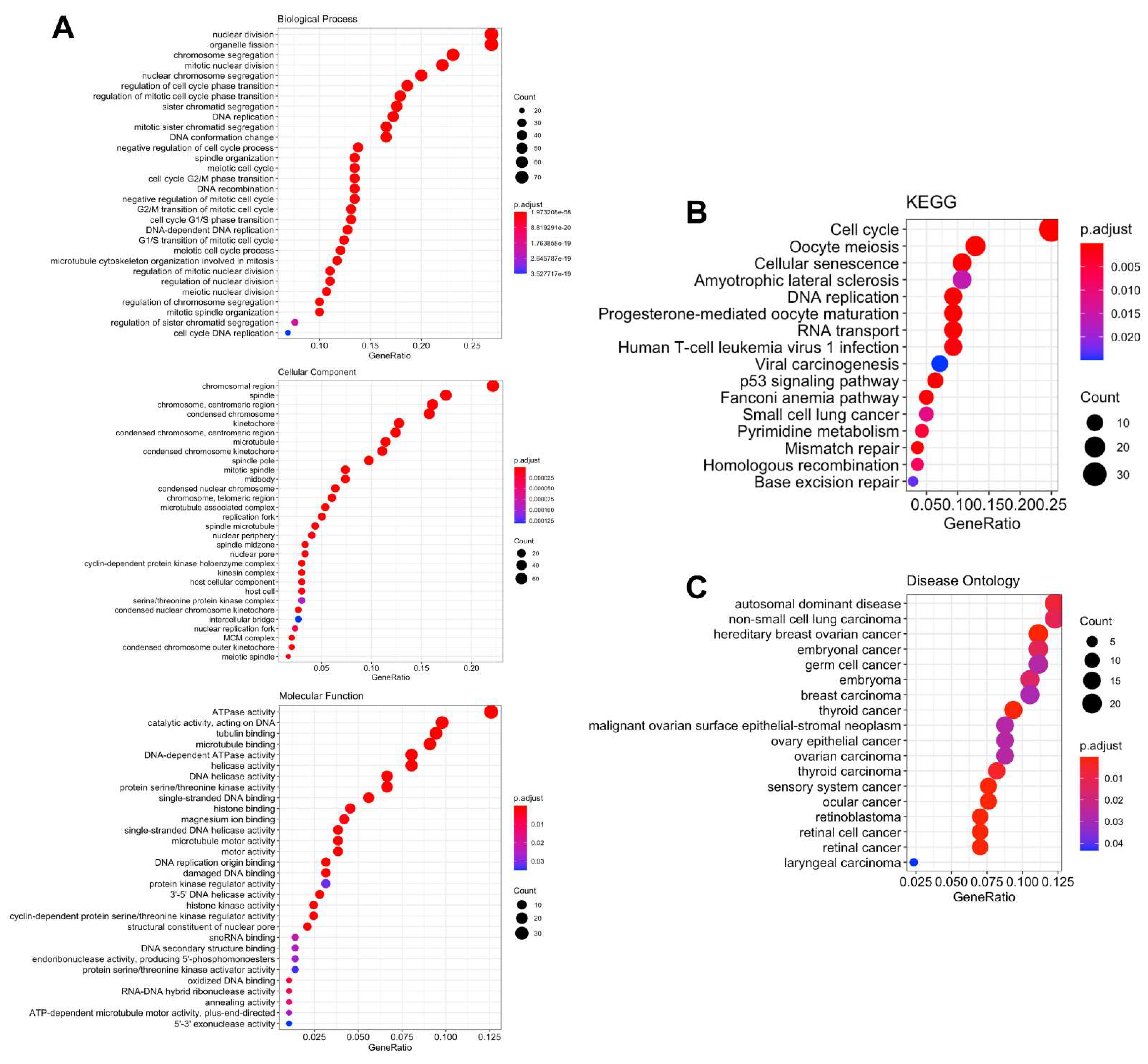 Biomedicines 09 01144 g007