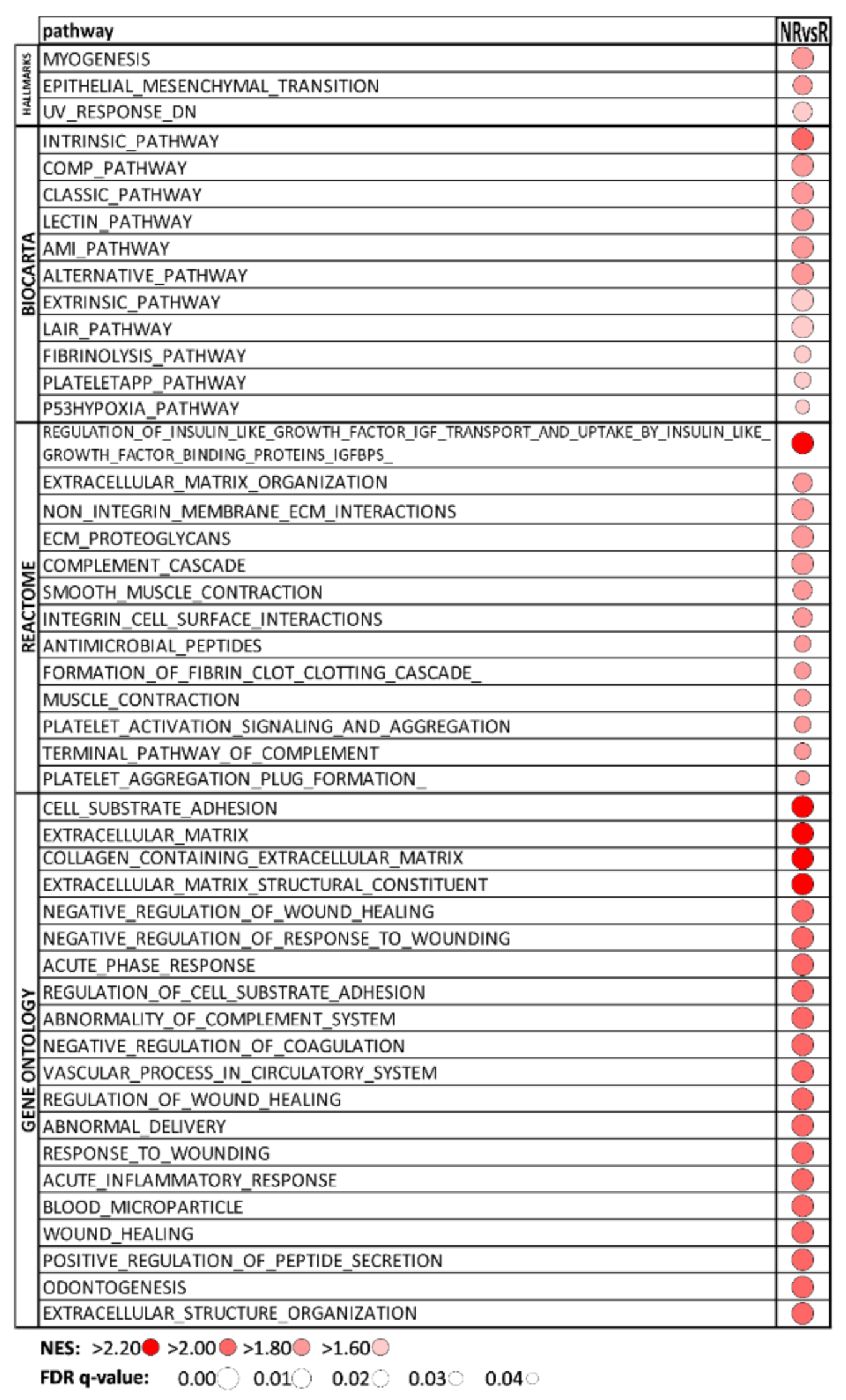 Biomedicines 09 01145 g002