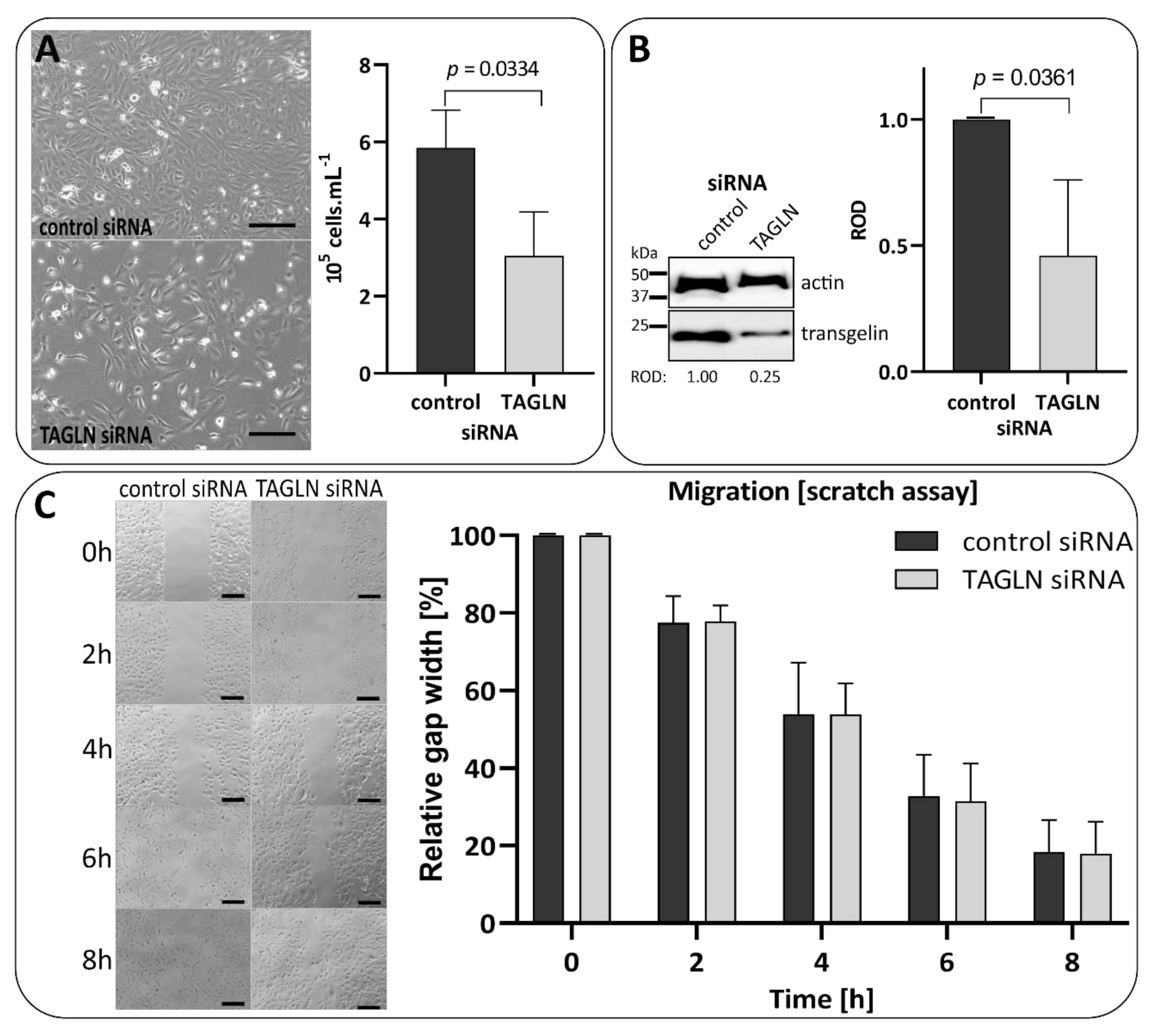 Biomedicines 09 01145 g004