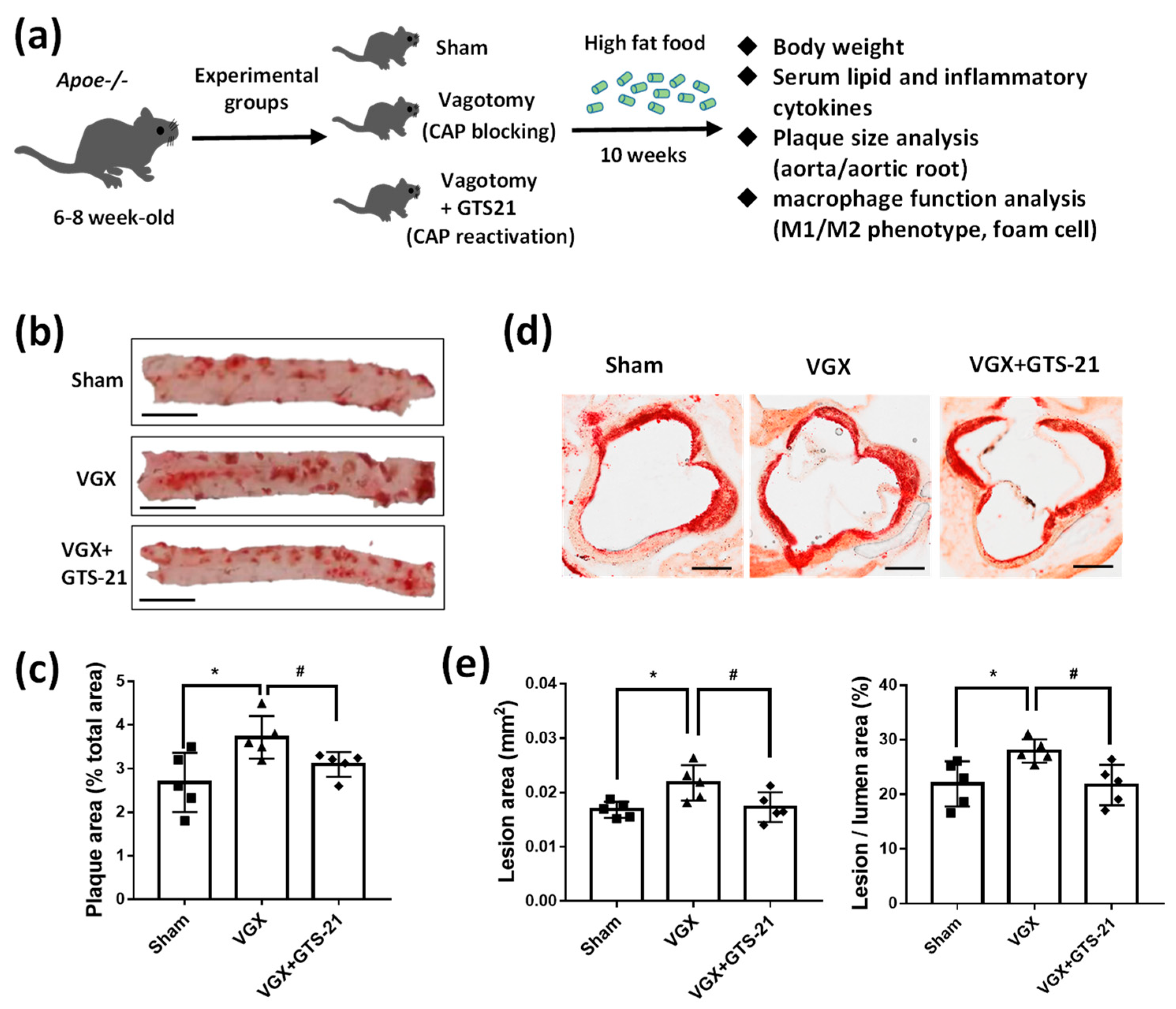 Biomedicines 09 01150 g001a
