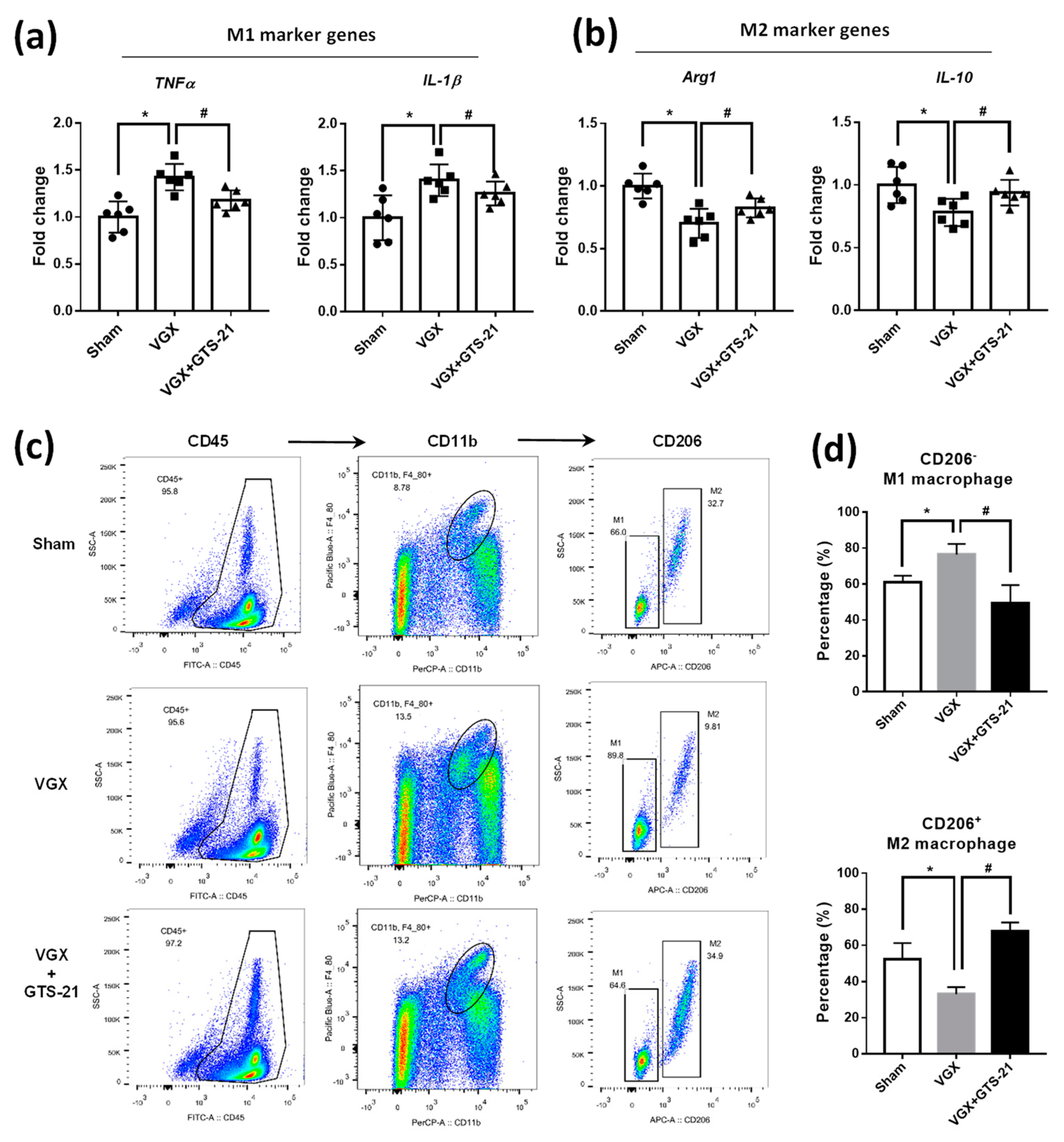 Biomedicines 09 01150 g002