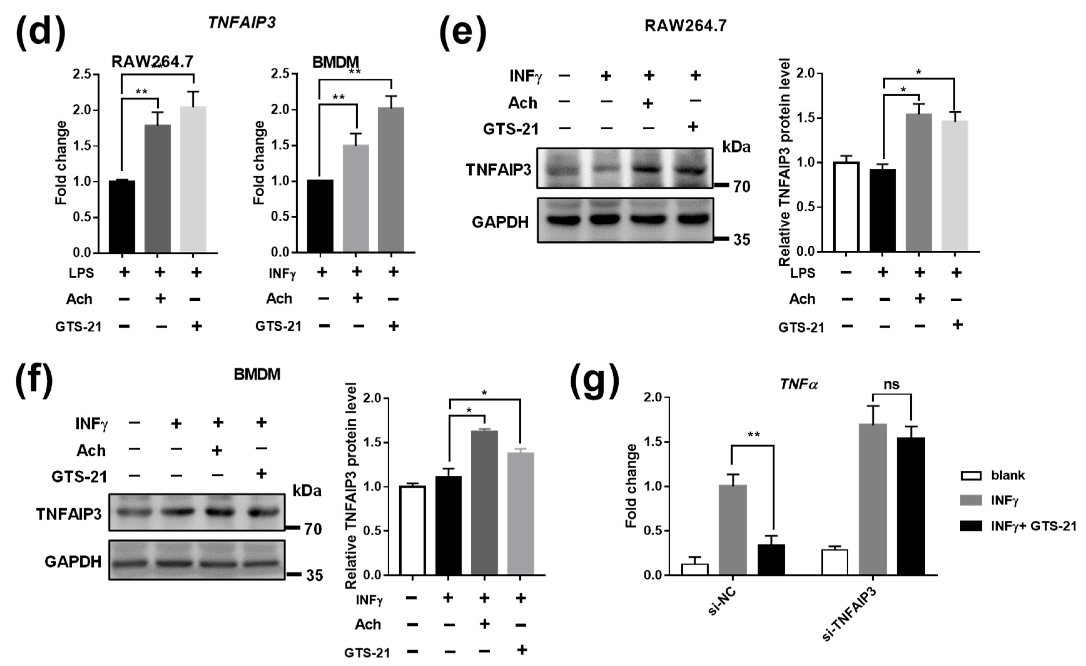 Biomedicines 09 01150 g003b