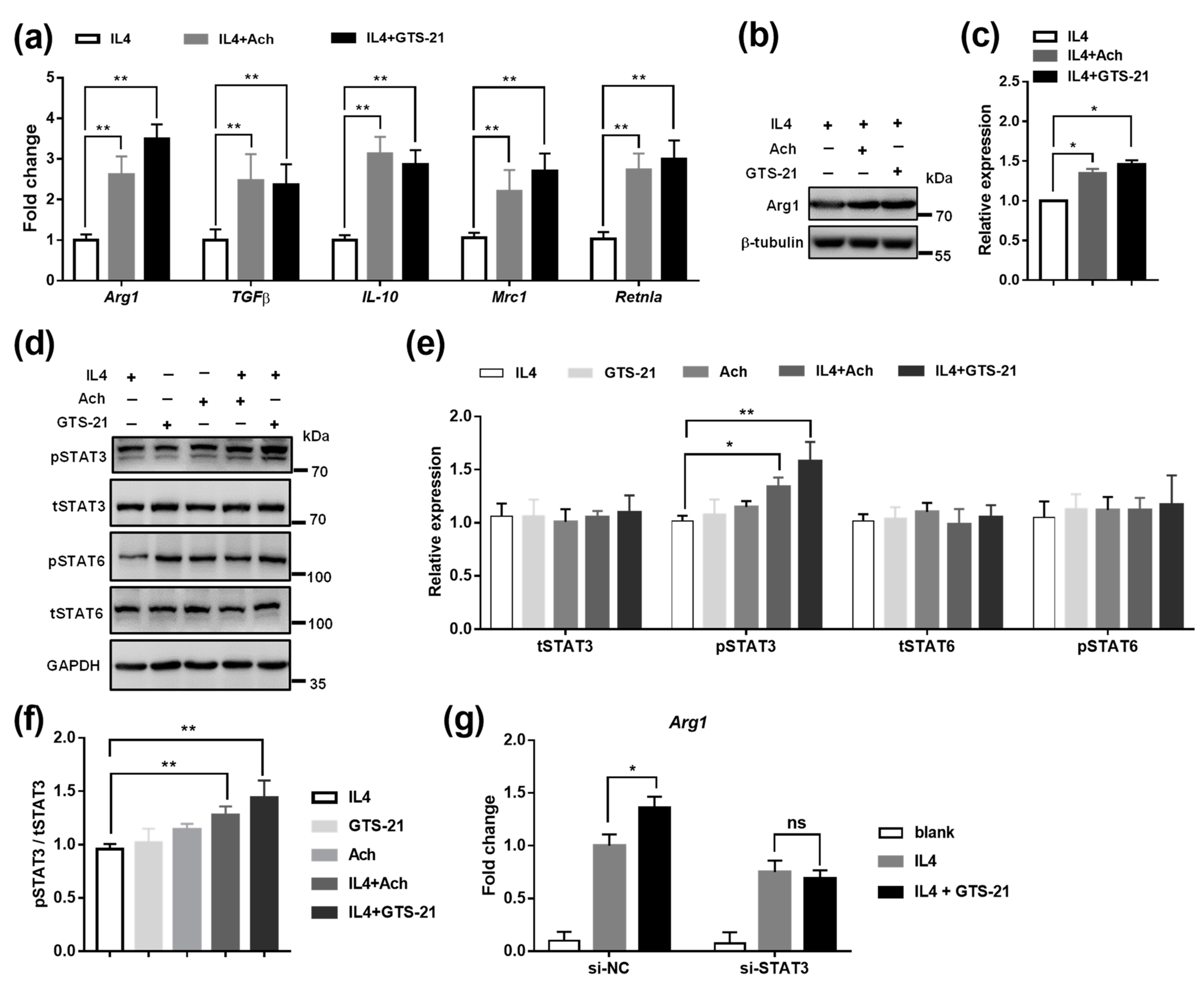 Biomedicines 09 01150 g004