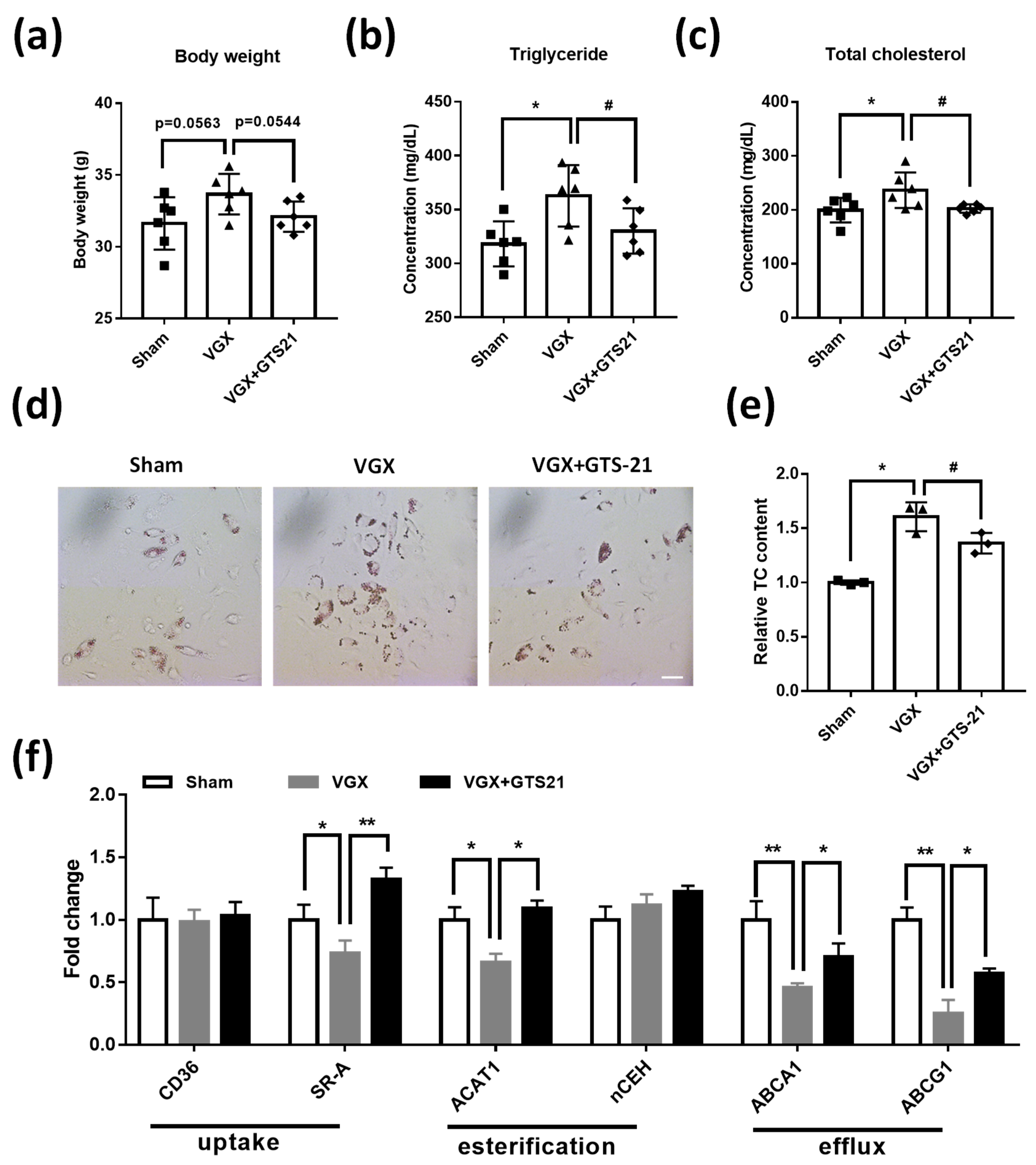 Biomedicines 09 01150 g005