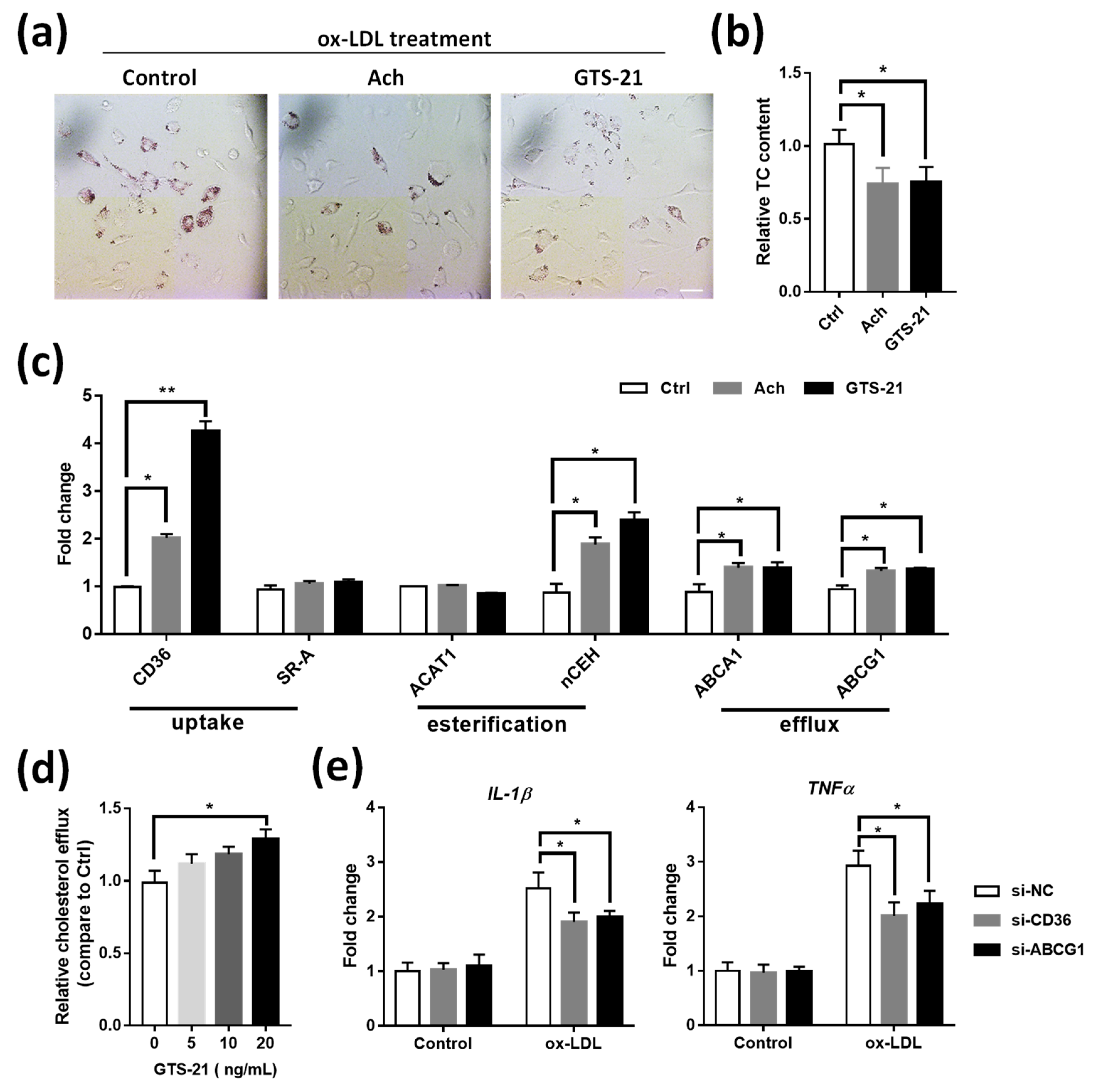 Biomedicines 09 01150 g006