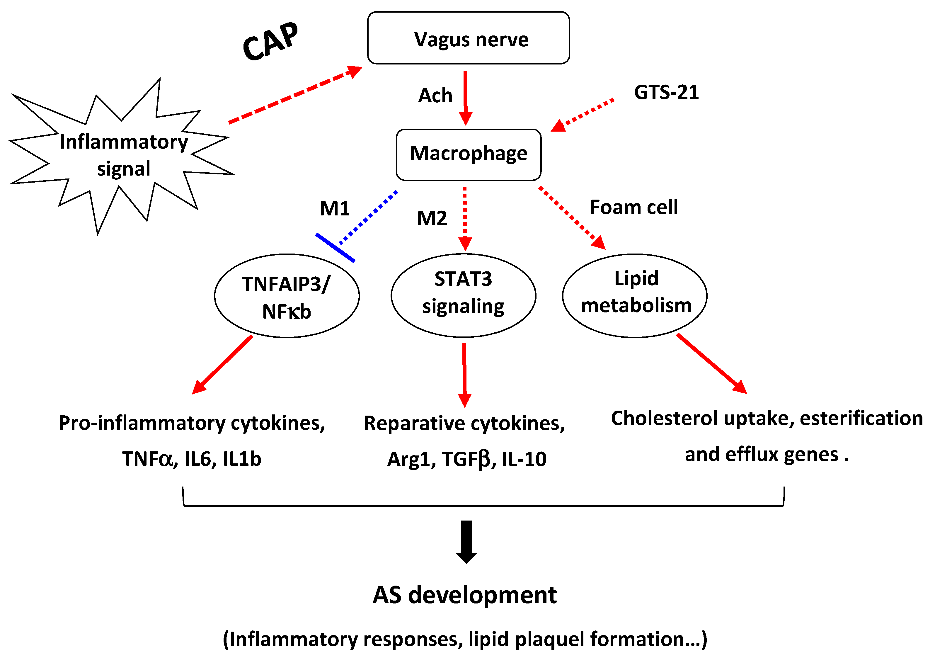 Biomedicines 09 01150 g007