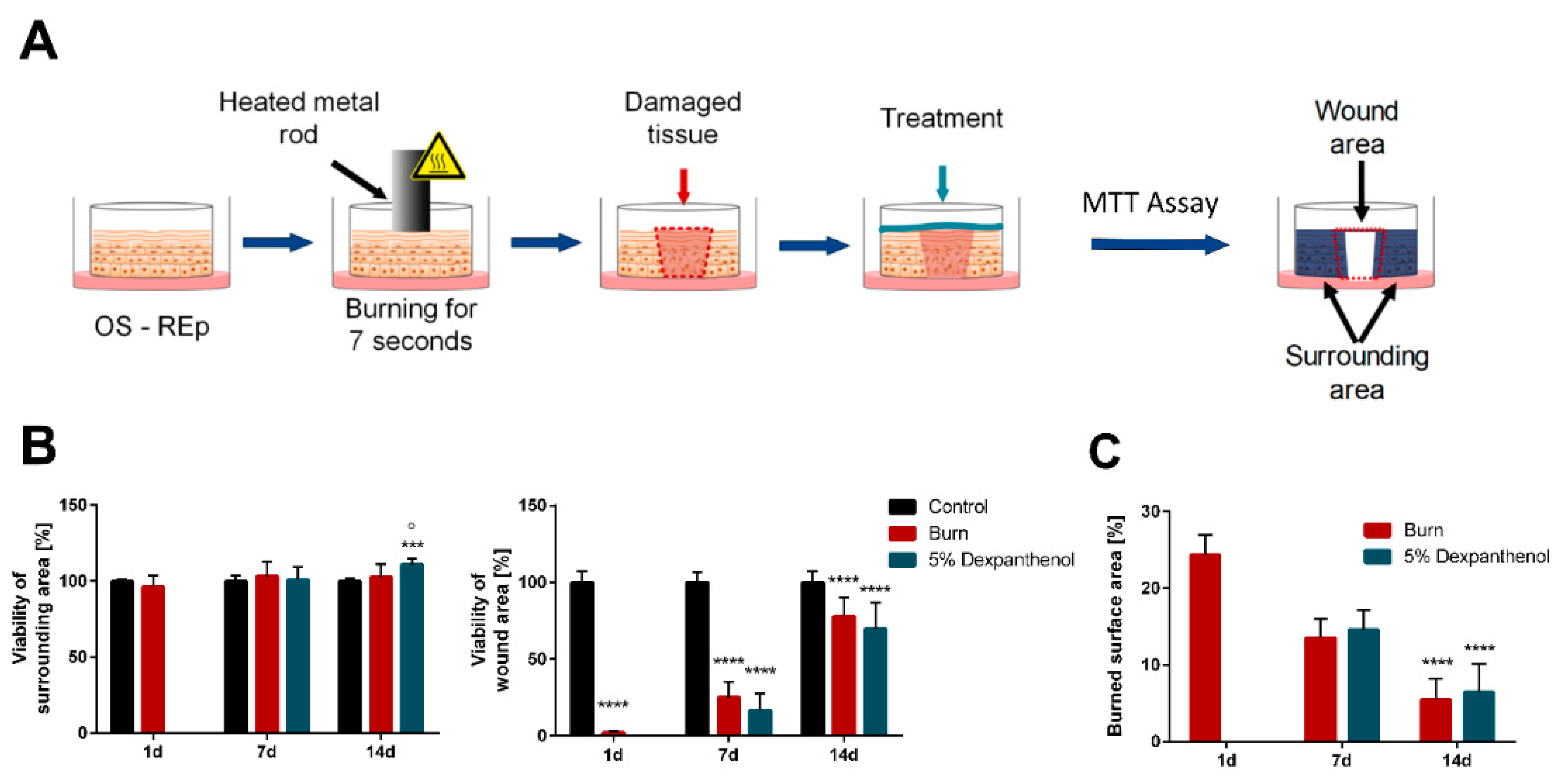 Biomedicines 09 01153 g001
