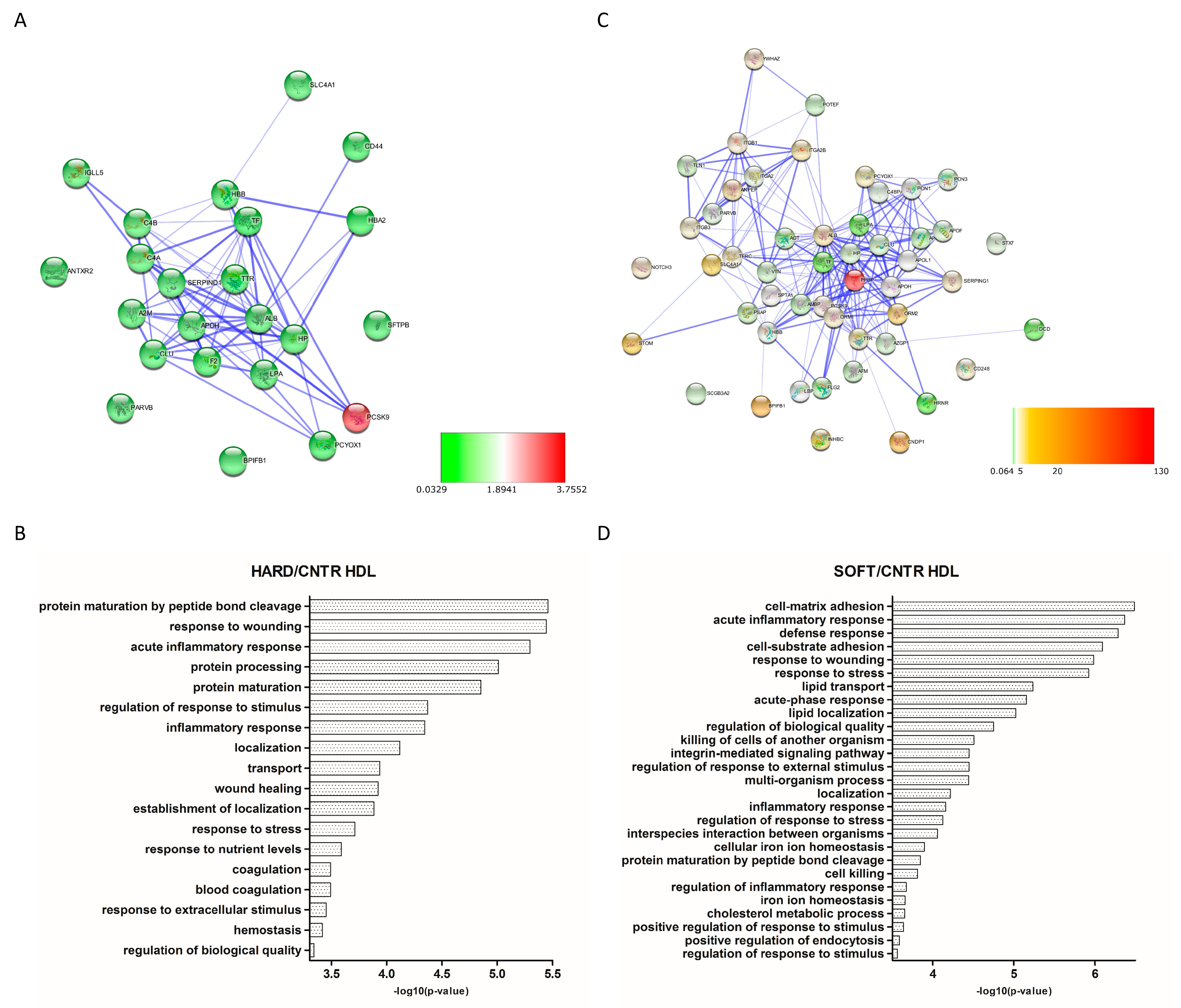 Biomedicines 09 01156 g004