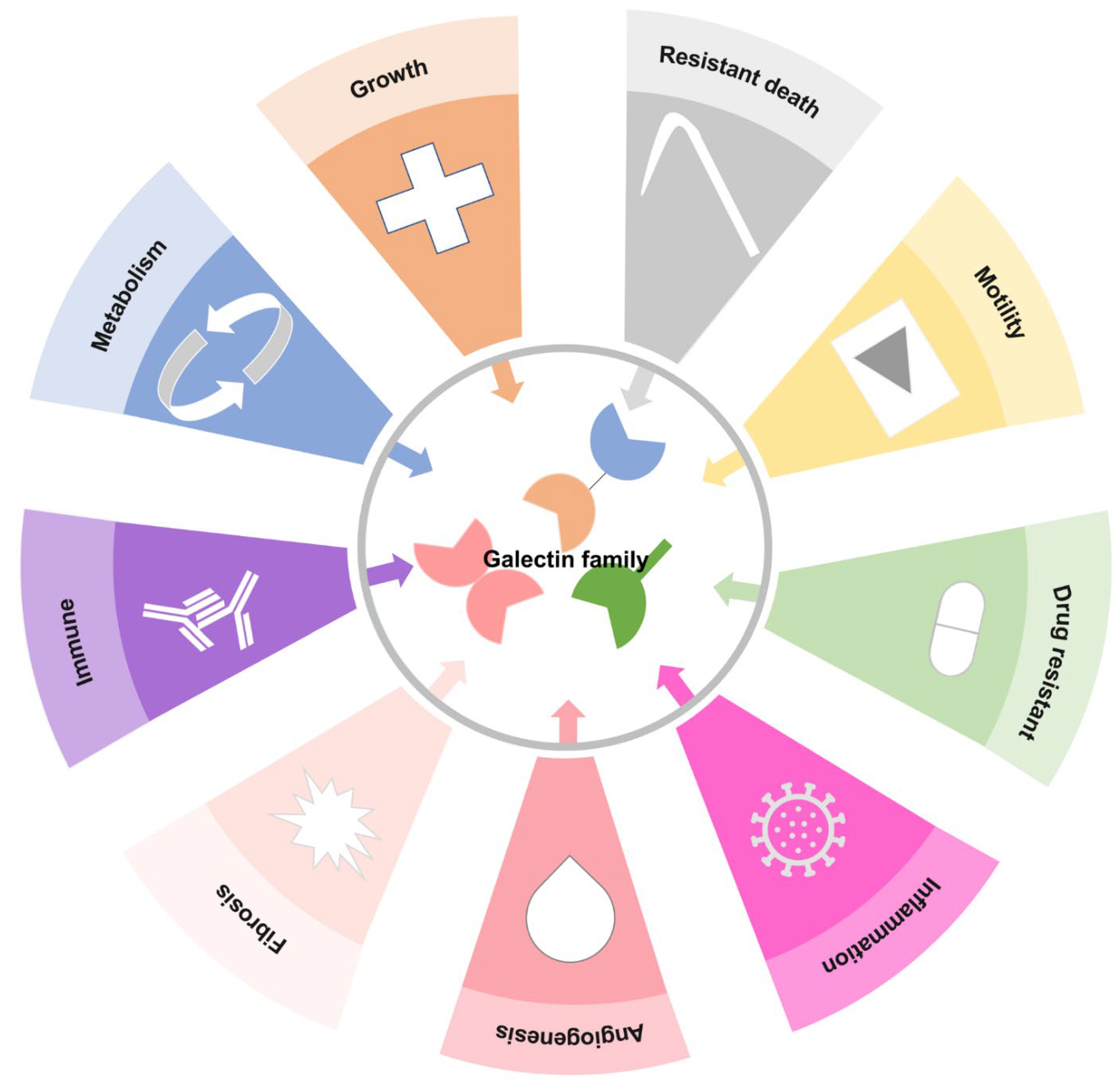 Biomedicines 09 01159 g002