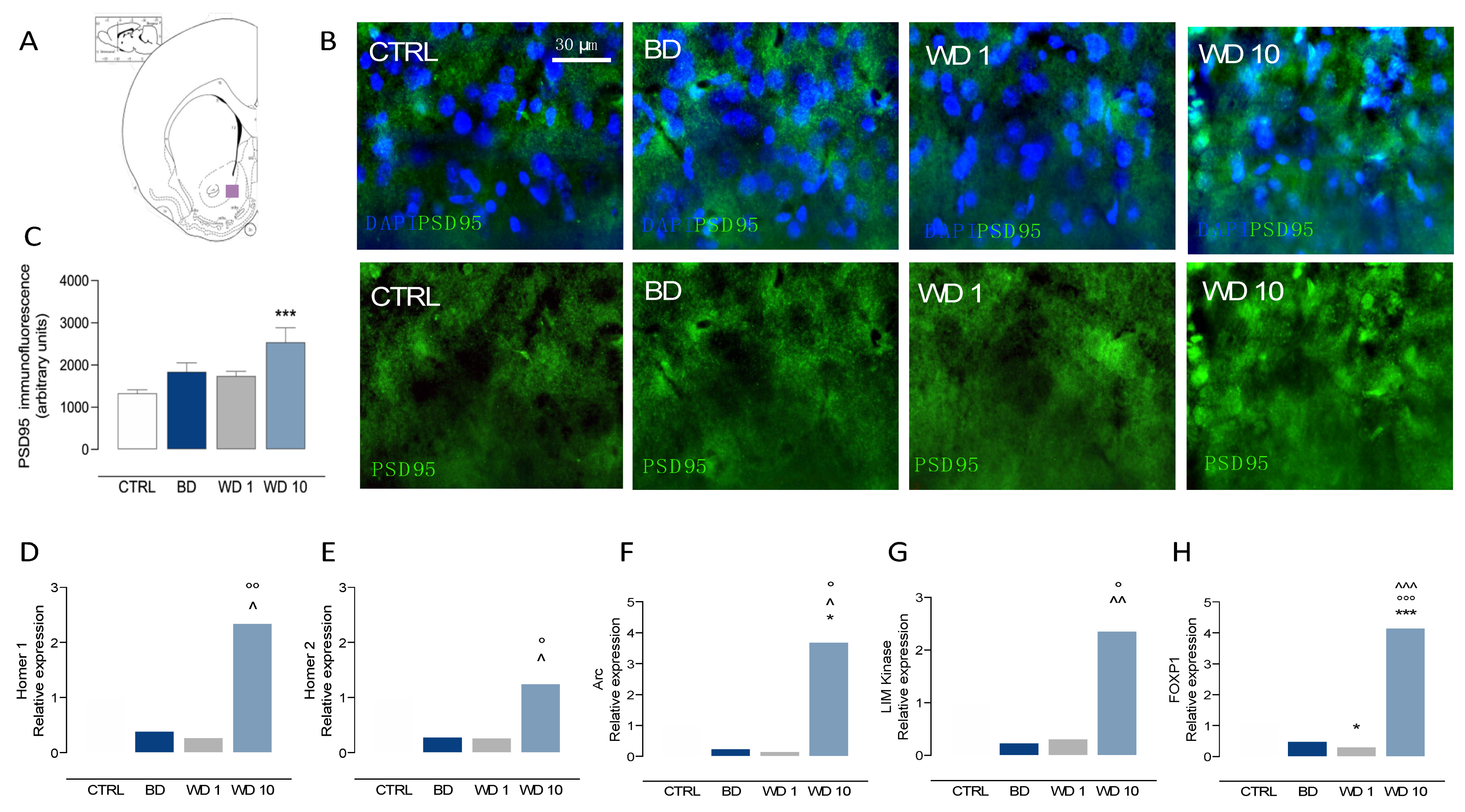 Biomedicines 09 01161 g004