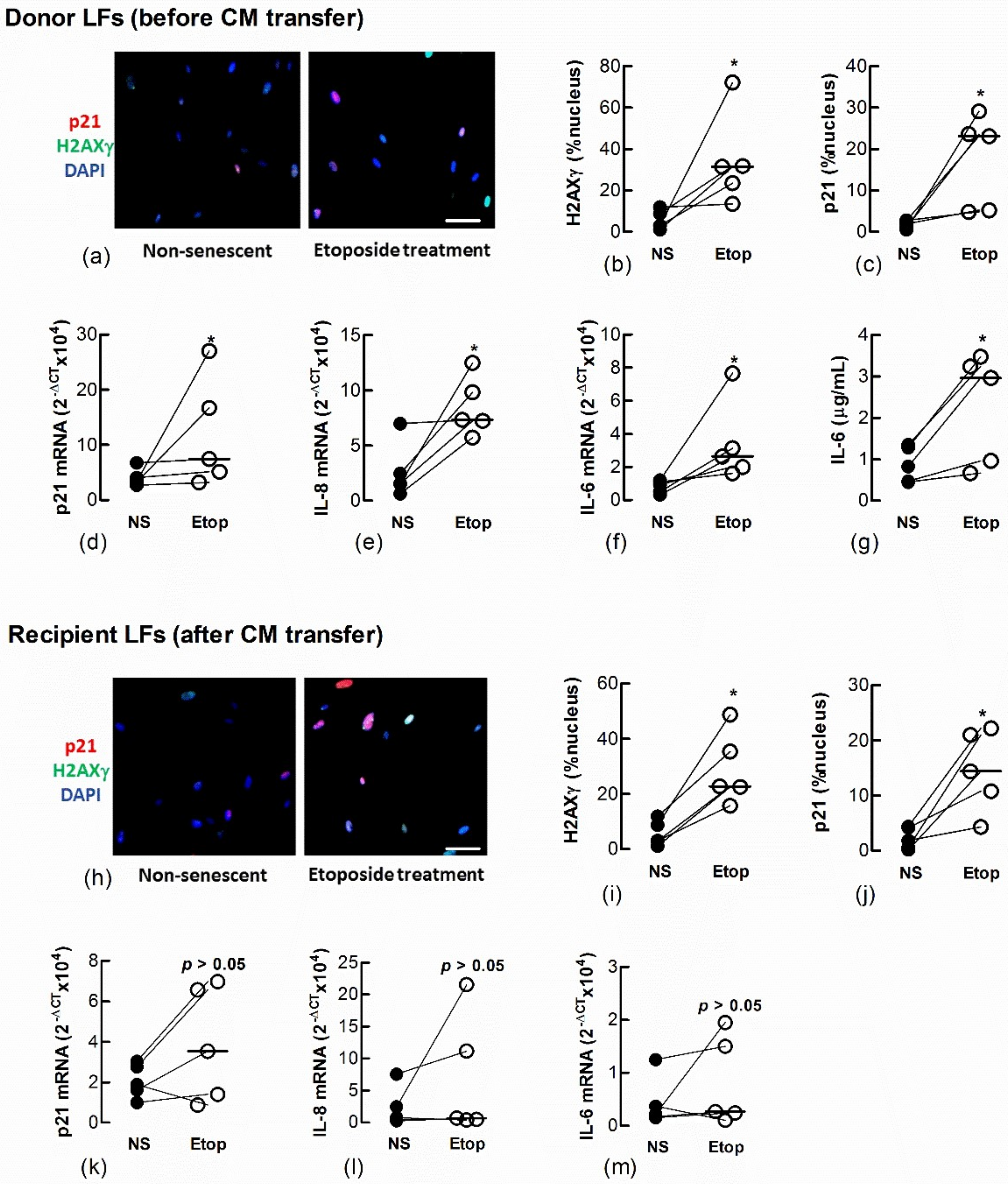 Biomedicines 09 01162 g005