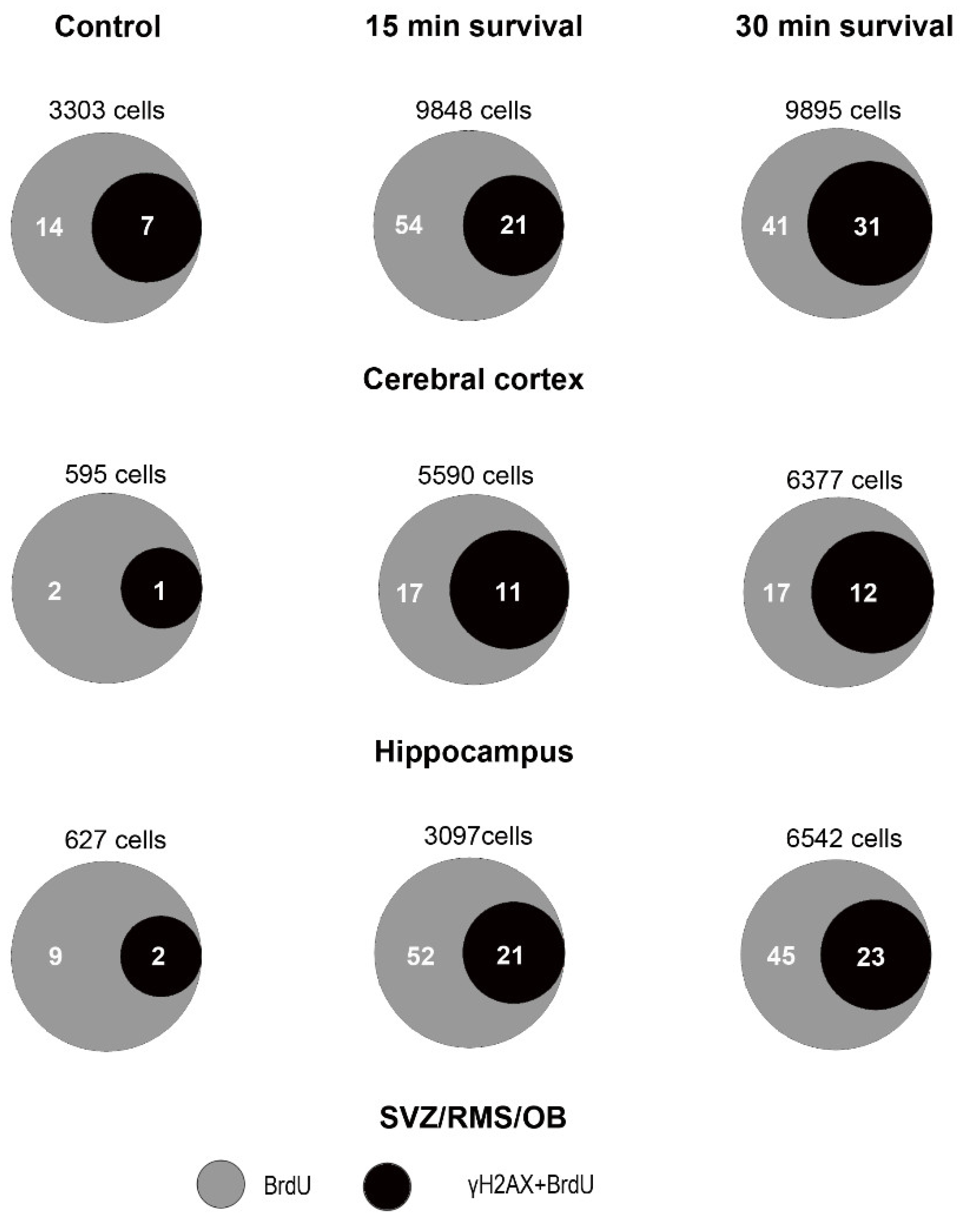 Biomedicines 09 01166 g014