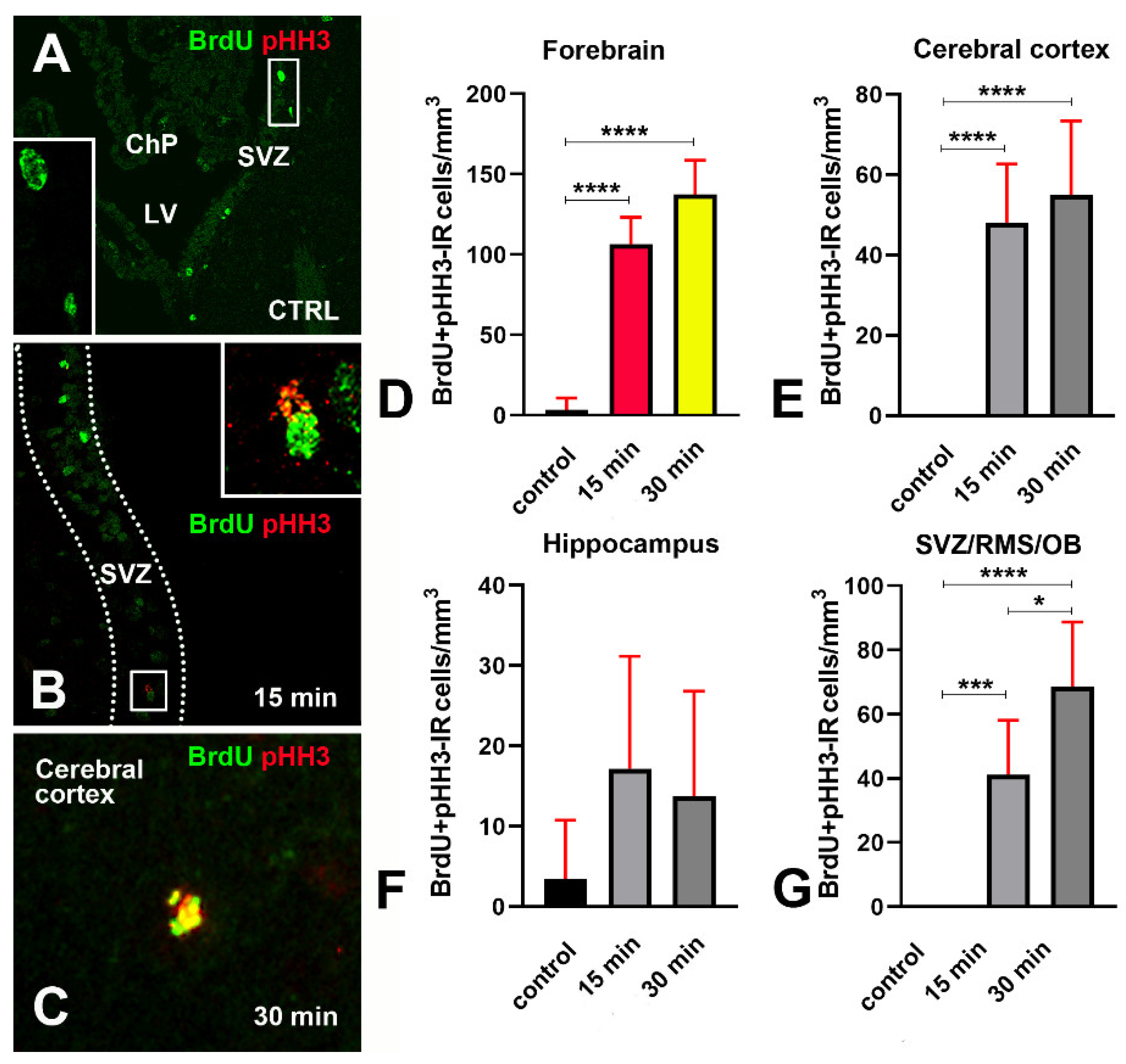 Biomedicines 09 01166 g015