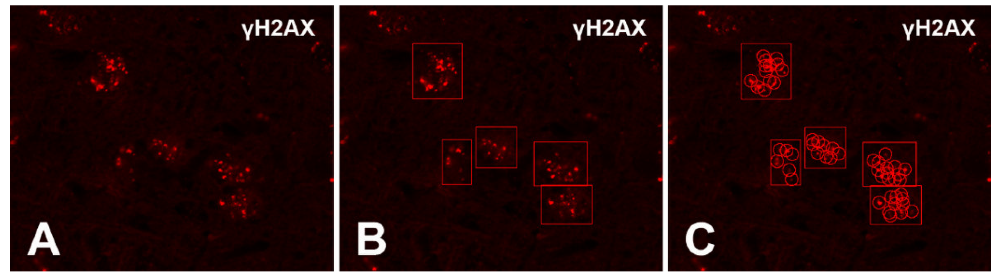 Biomedicines 09 01166 g0a2