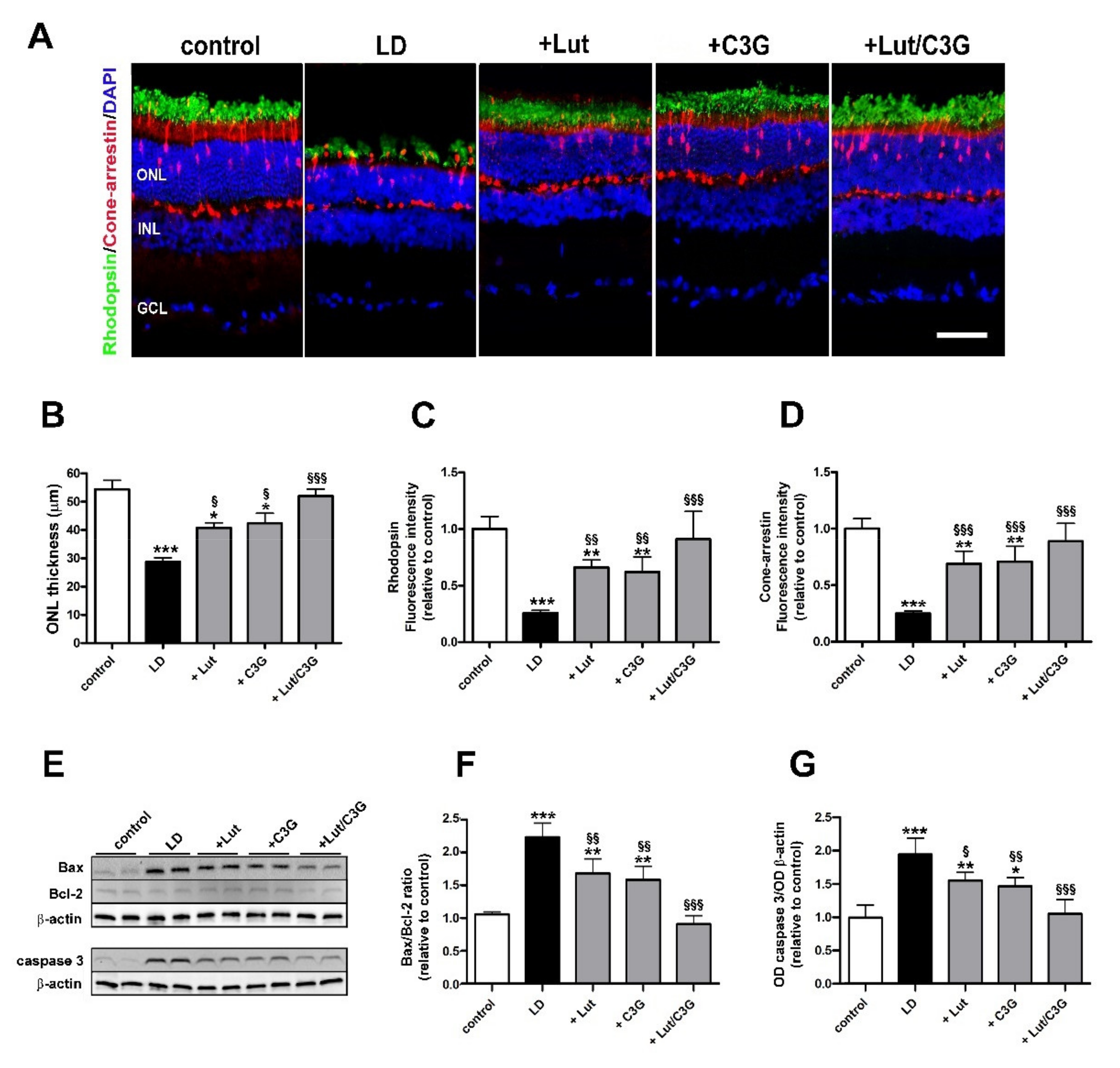 Biomedicines 09 01177 g005 Biomedicines 09 01177 g005