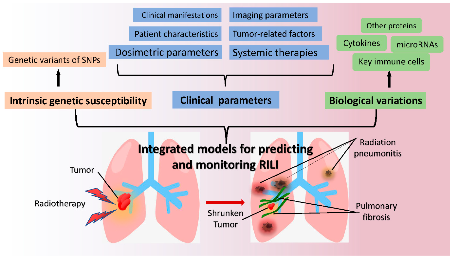 Promising Biomarkers of Radiation-Induced Lung Injury: A Review