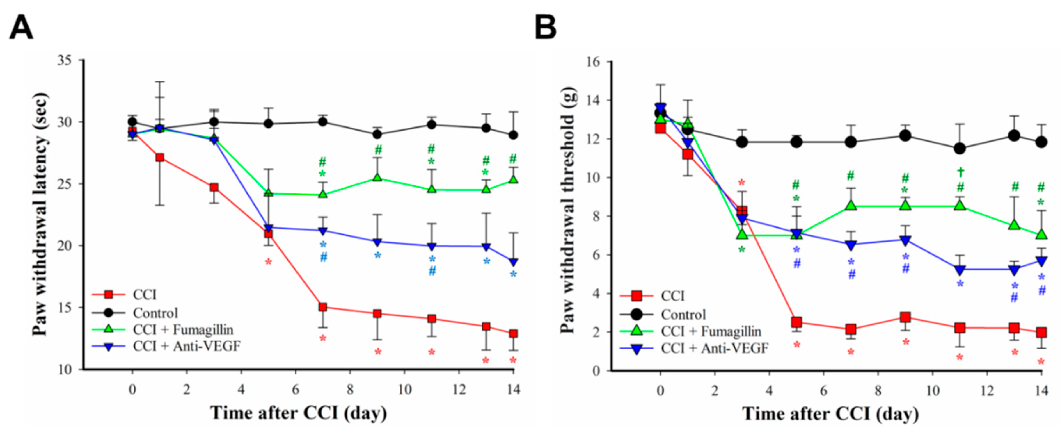 Biomedicines 09 01187 g005