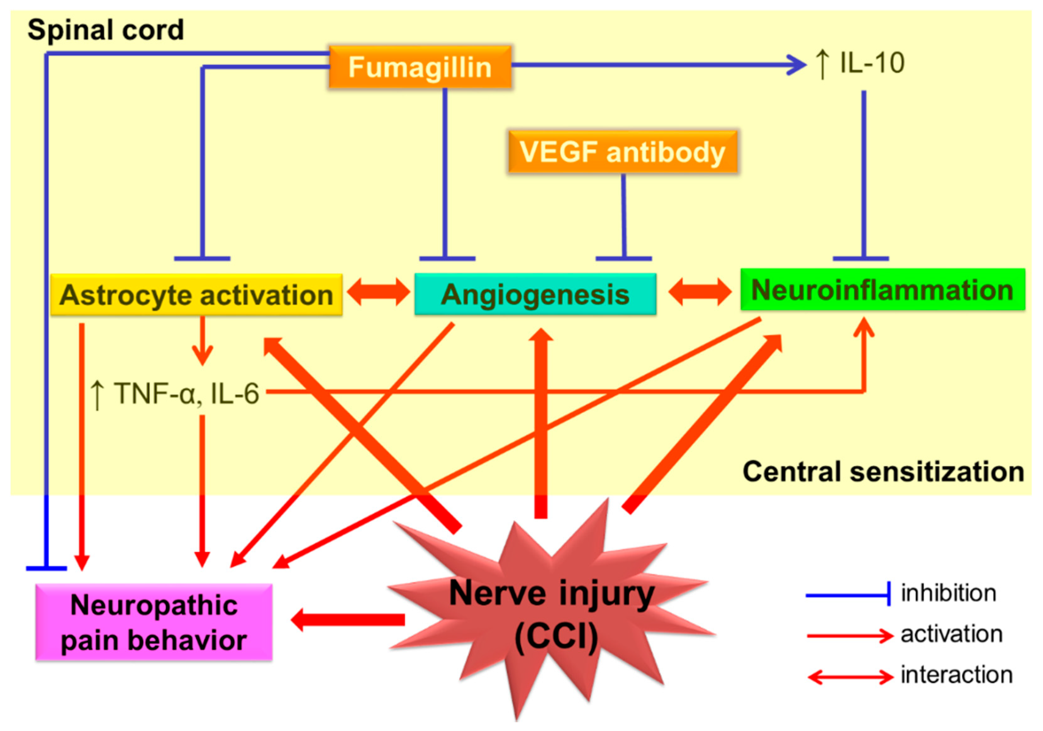 Biomedicines 09 01187 g009
