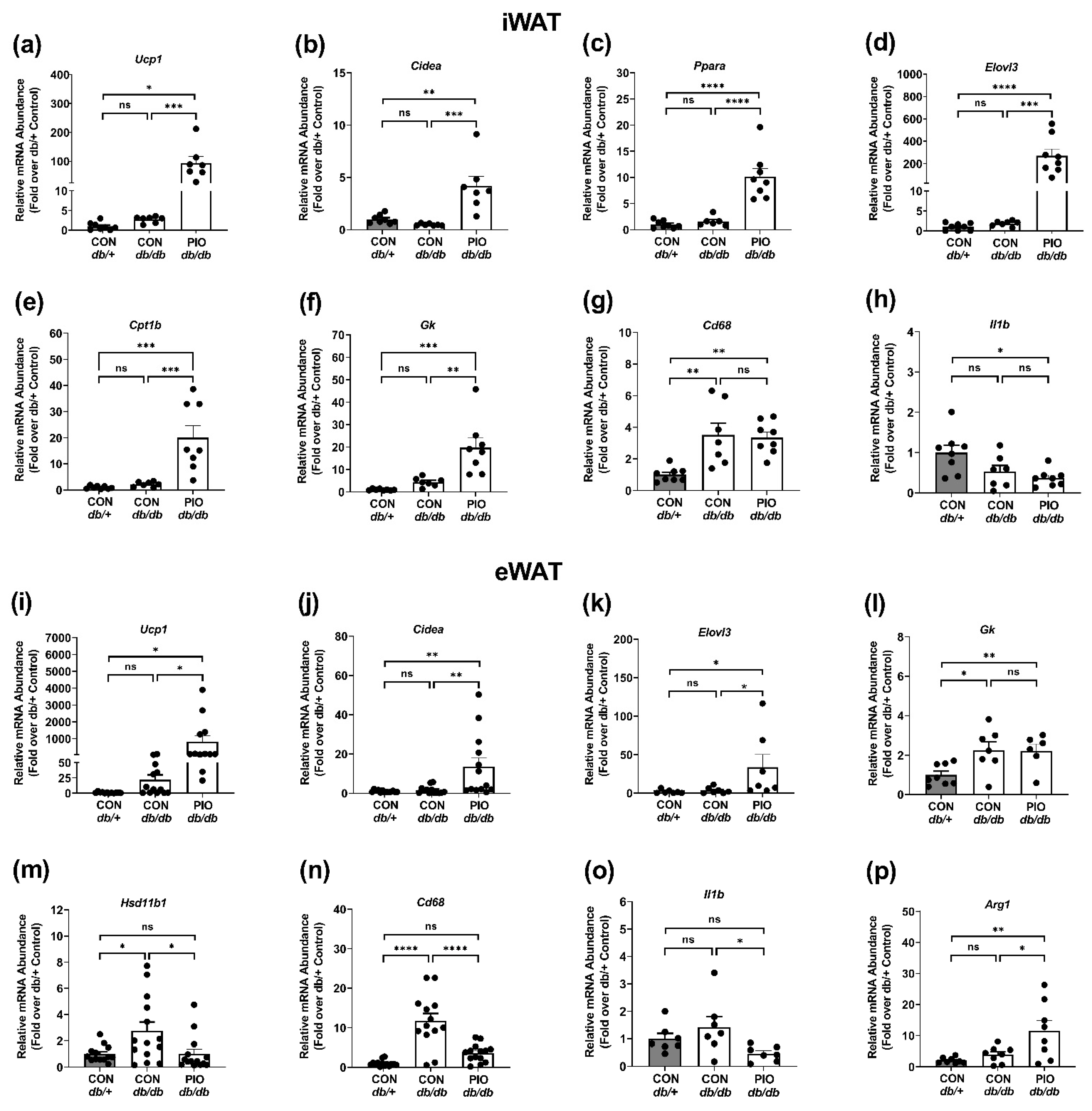 Biomedicines 09 01189 g005 Biomedicines 09 01189 g005