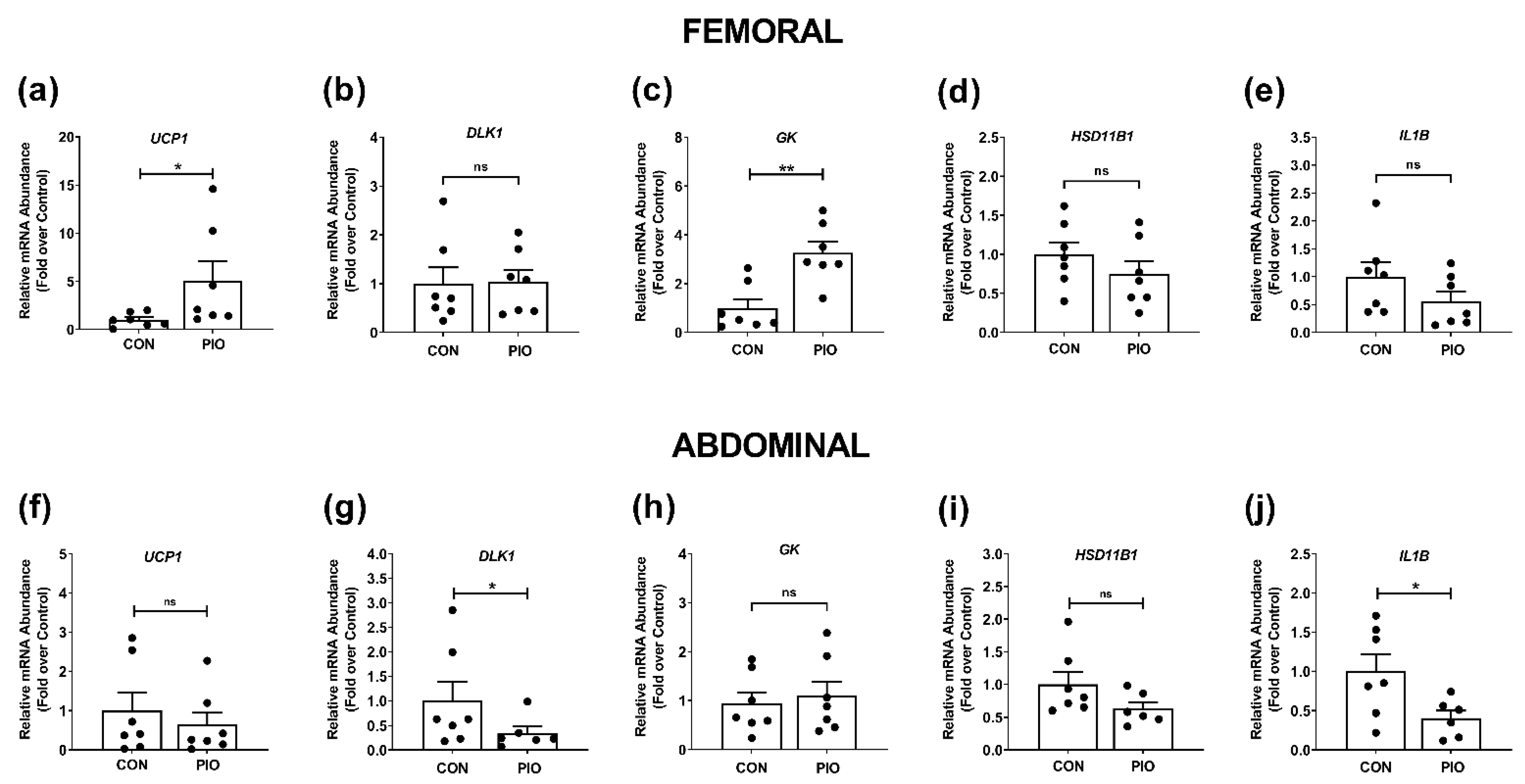 Biomedicines 09 01189 g006 Biomedicines 09 01189 g006