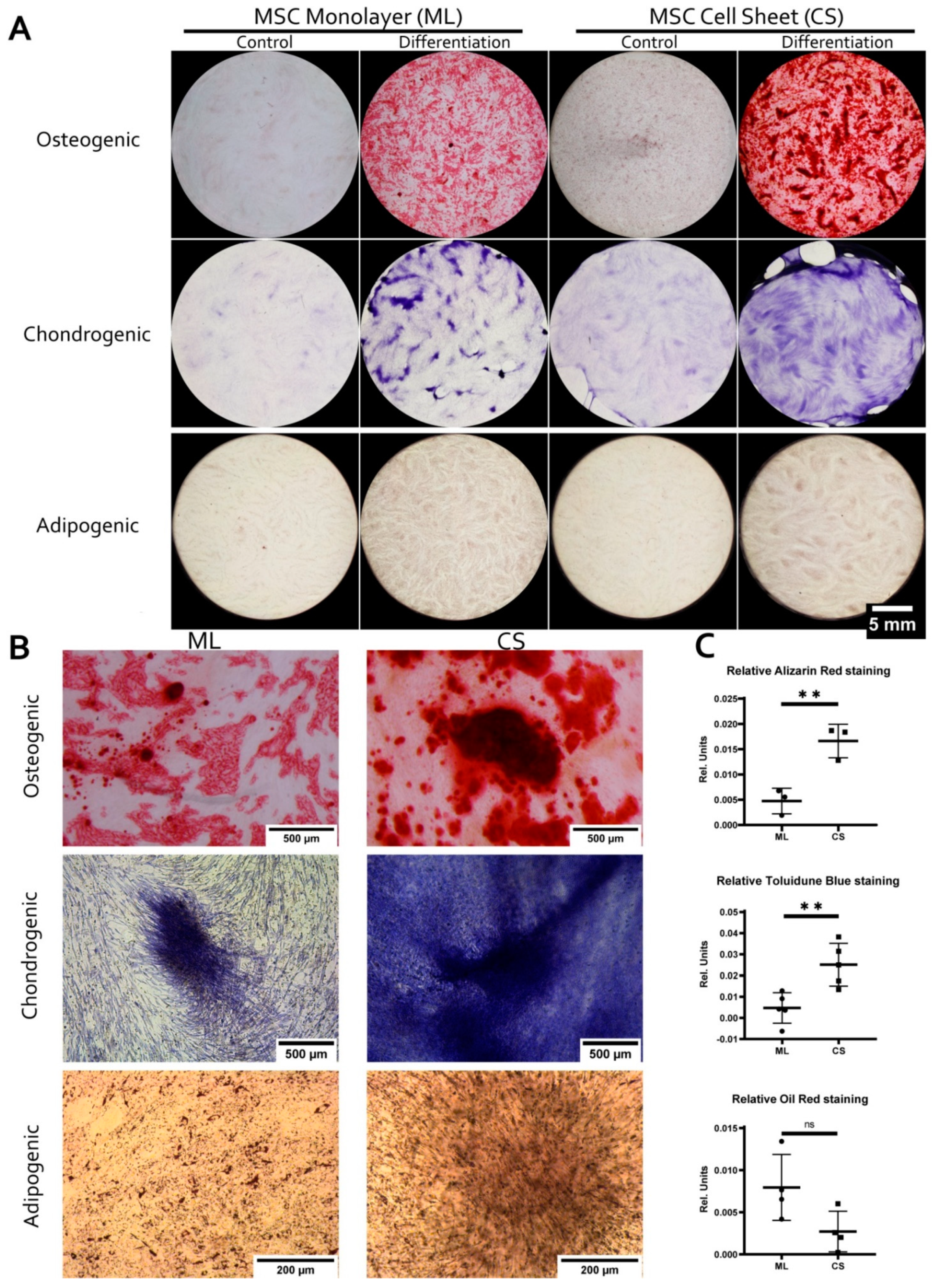 Biomedicines 09 01192 g003