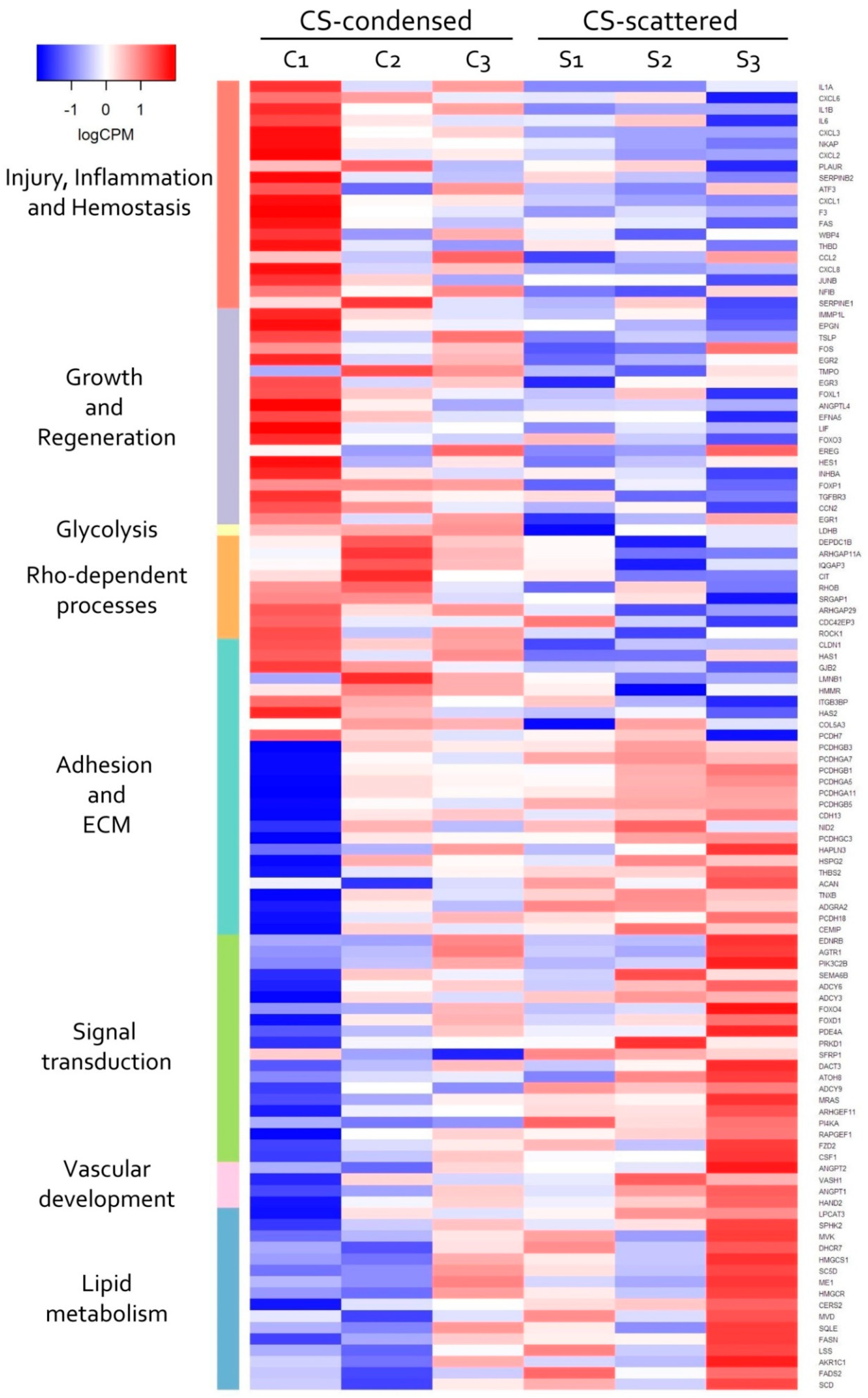 Biomedicines 09 01192 g007