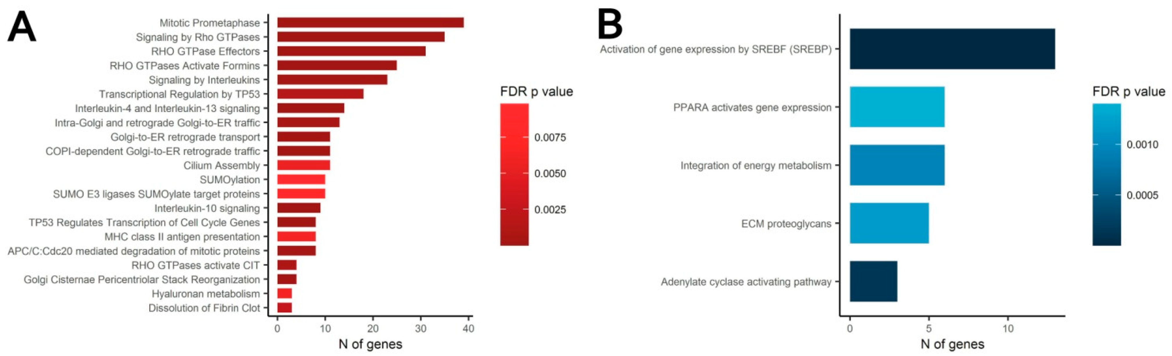 Biomedicines 09 01192 g008
