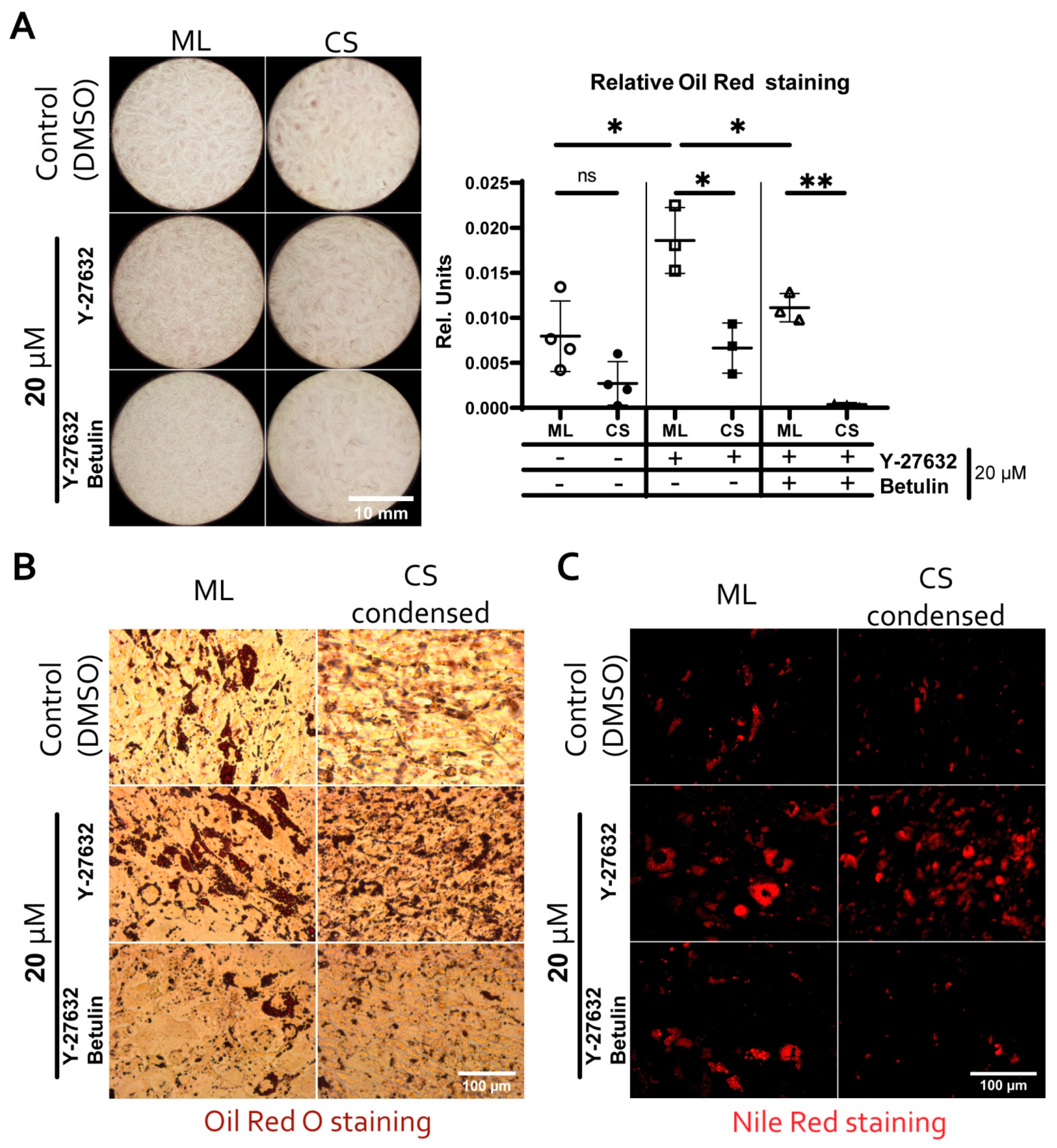 Biomedicines 09 01192 g010