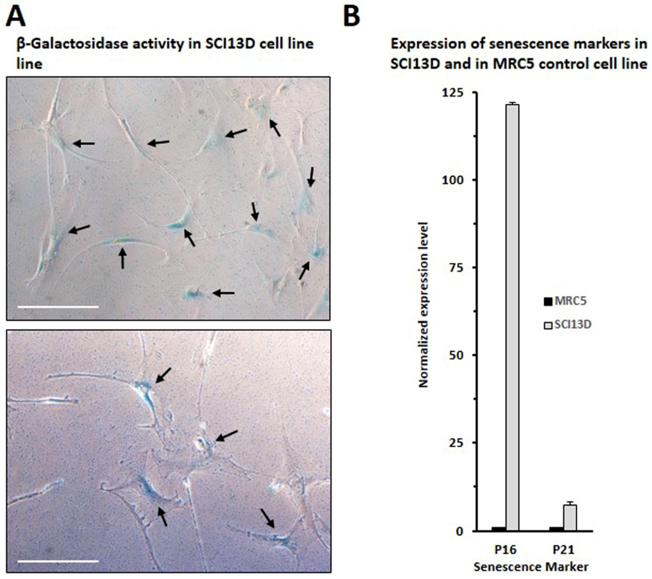 Biomedicines 09 01193 g003