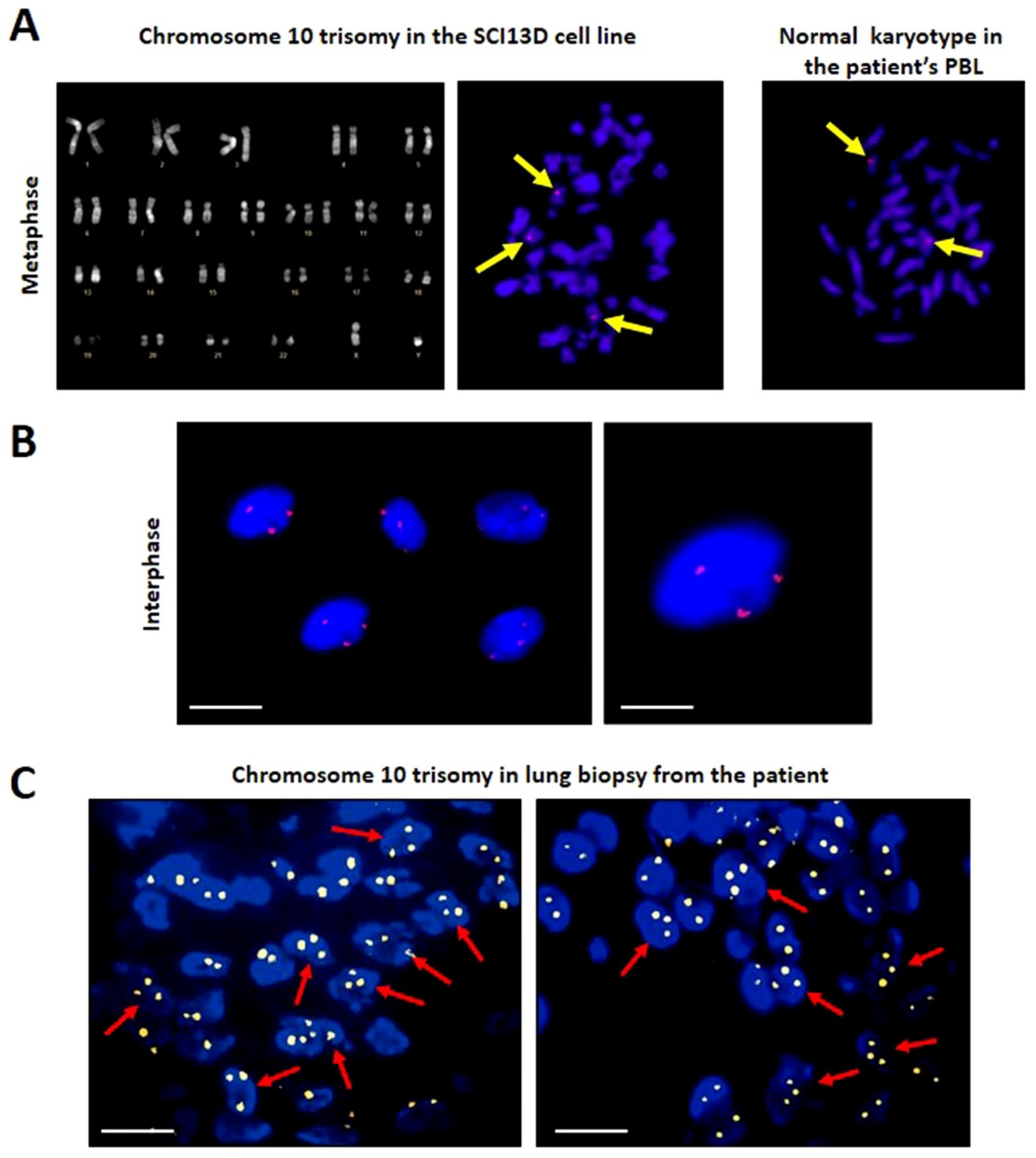Biomedicines 09 01193 g006