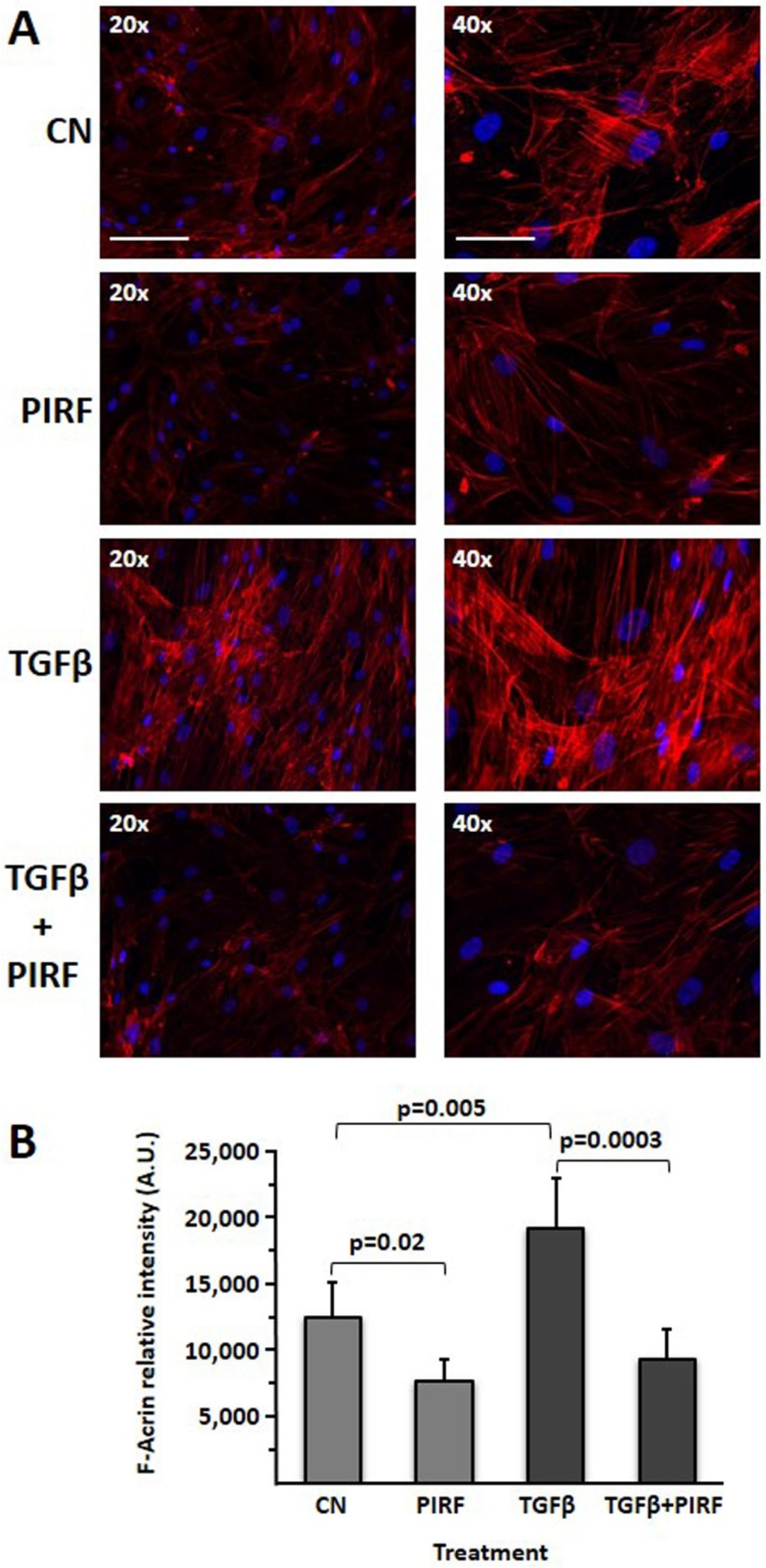 Biomedicines 09 01193 g009