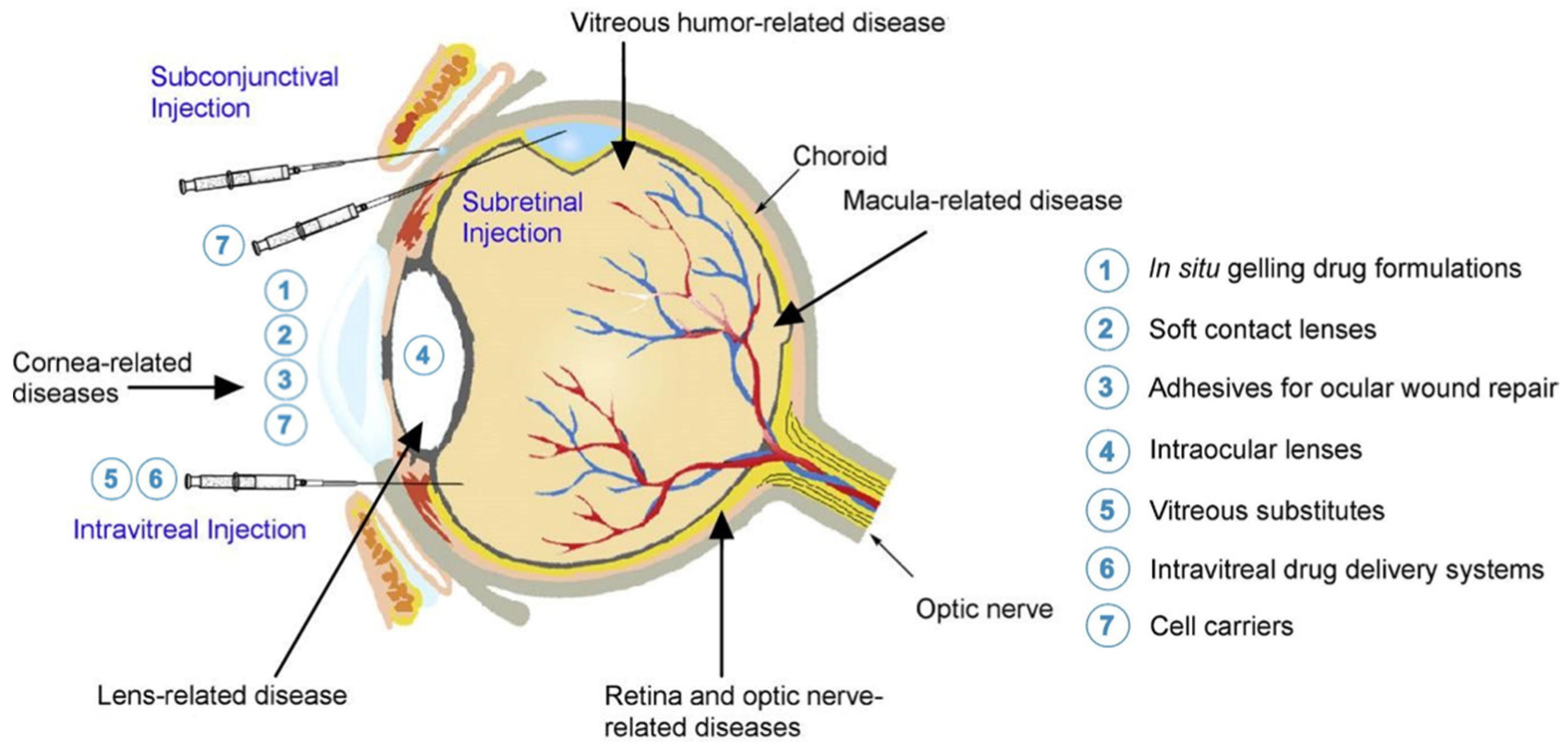 Biomedicines 09 01203 g001 Biomedicines 09 01203 g001