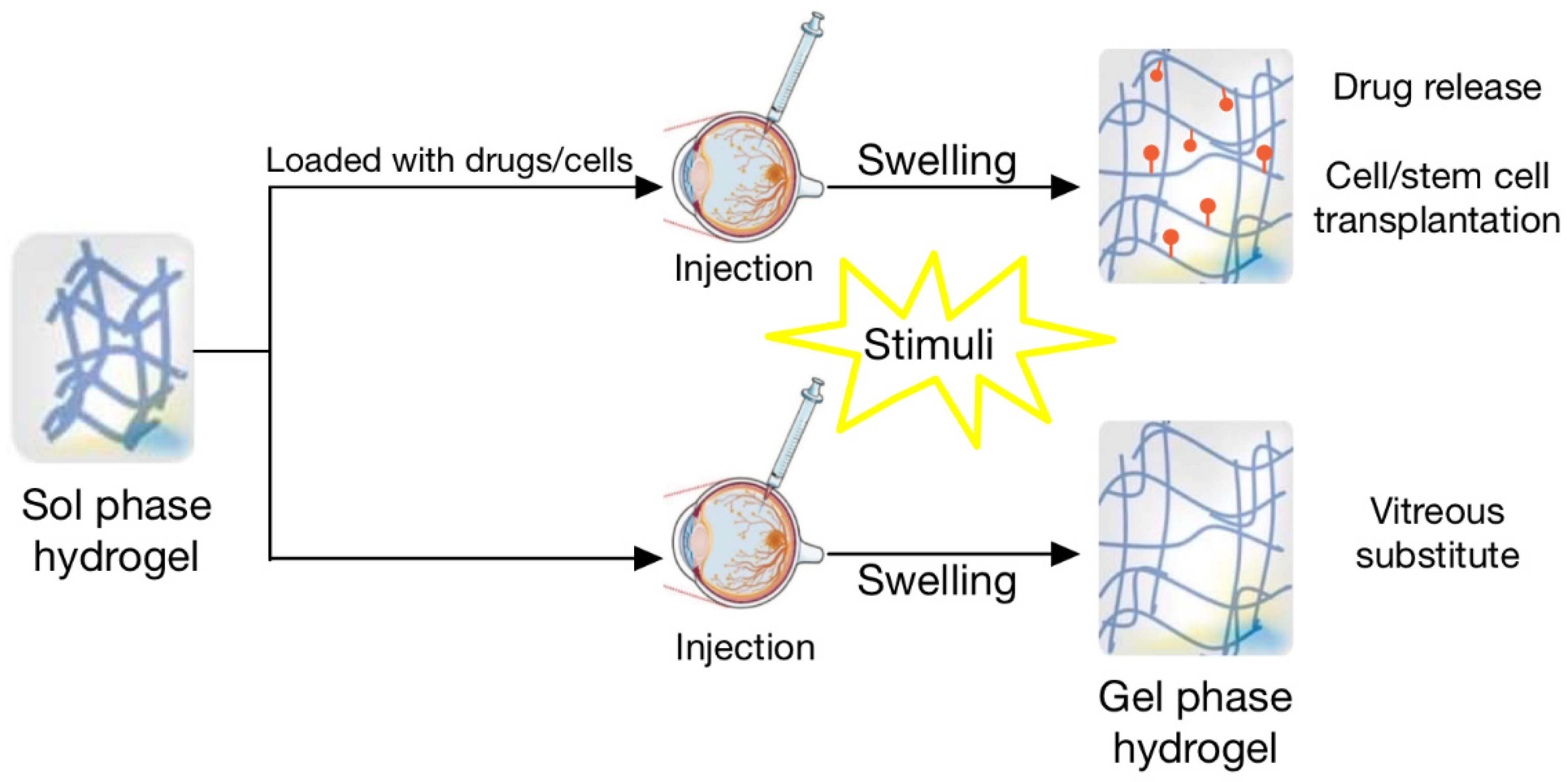 Biomedicines 09 01203 g002 Biomedicines 09 01203 g002