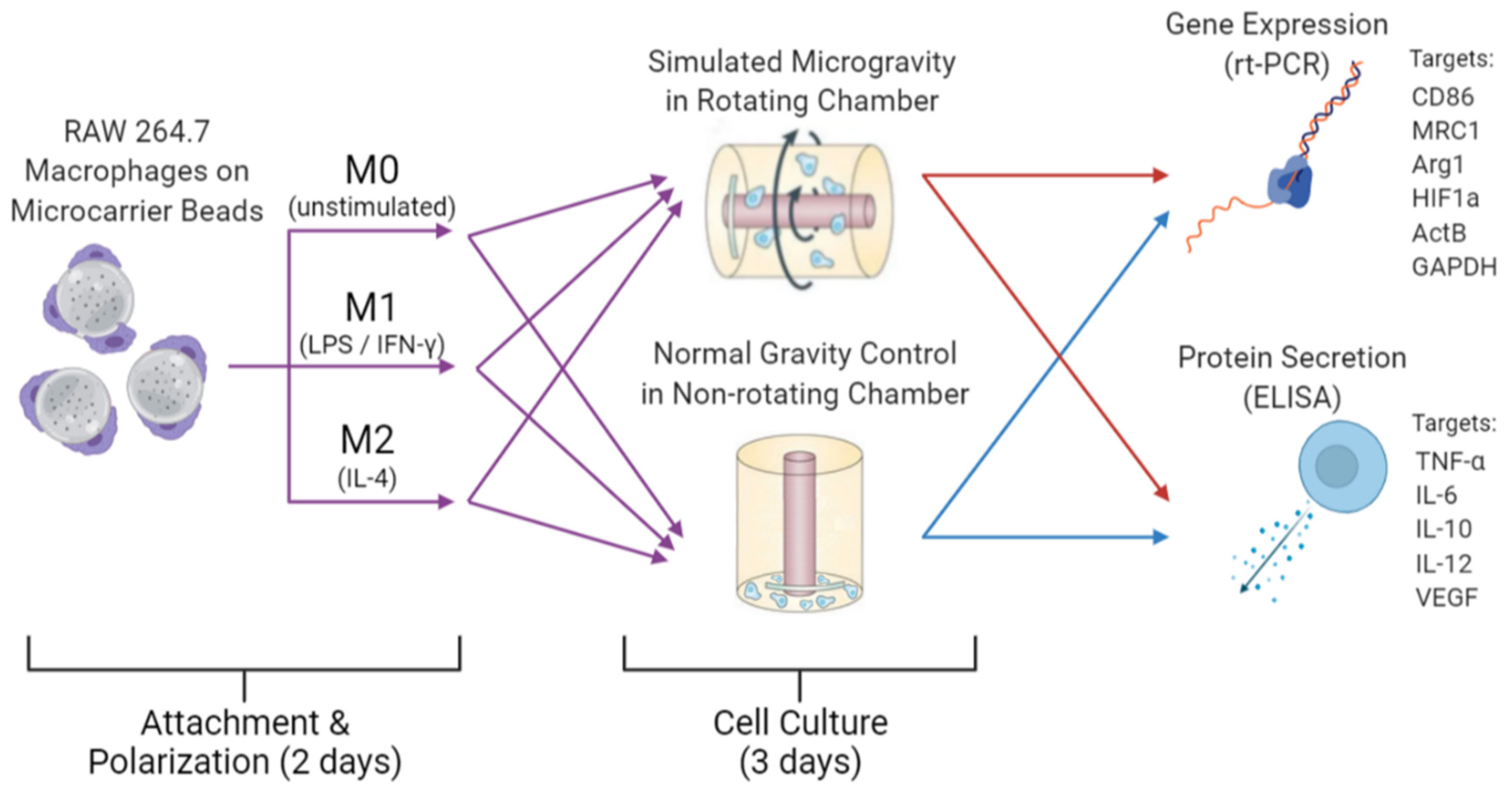 Biomedicines 09 01205 g001 550