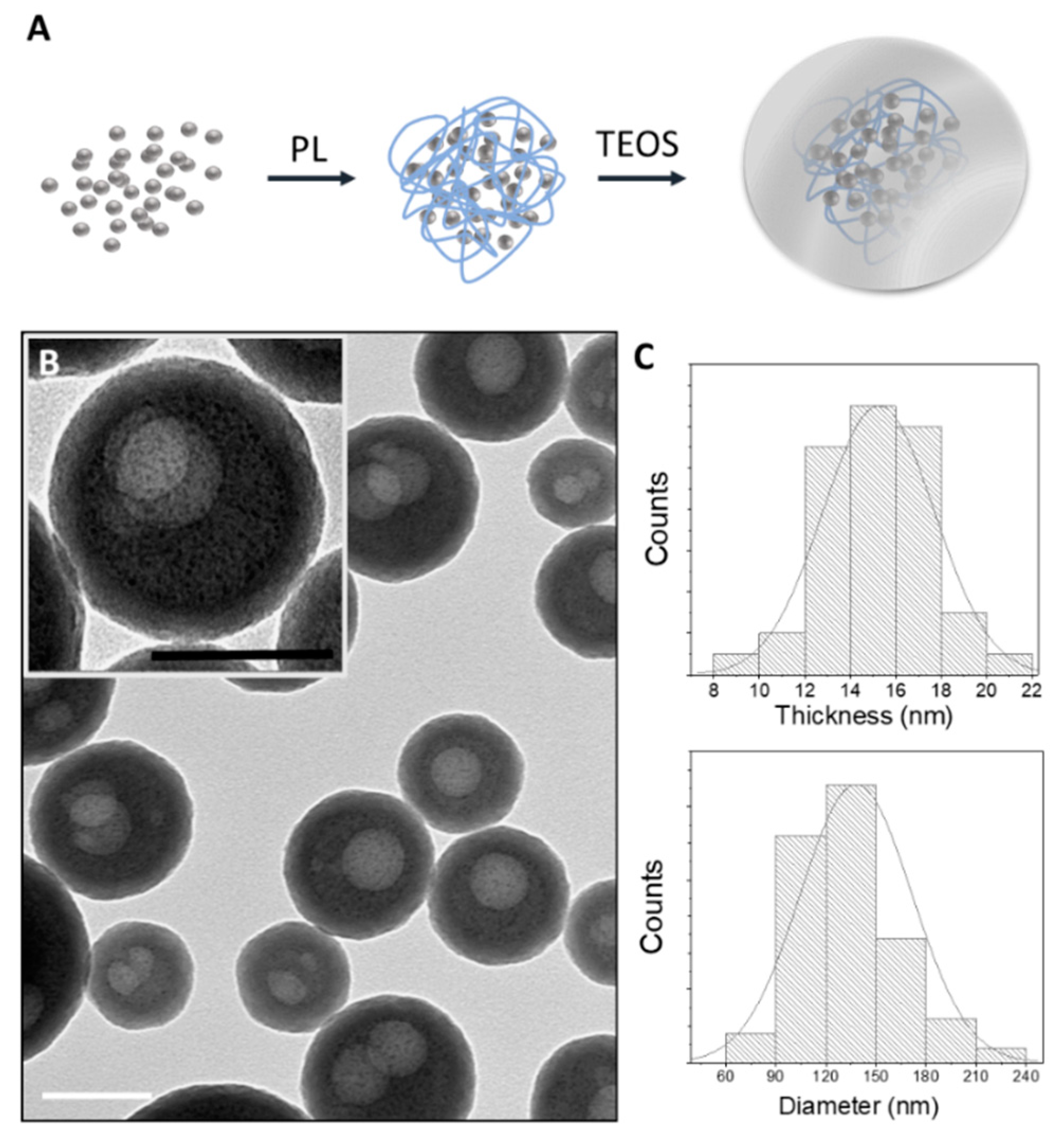 Biomedicines 09 01215 g001