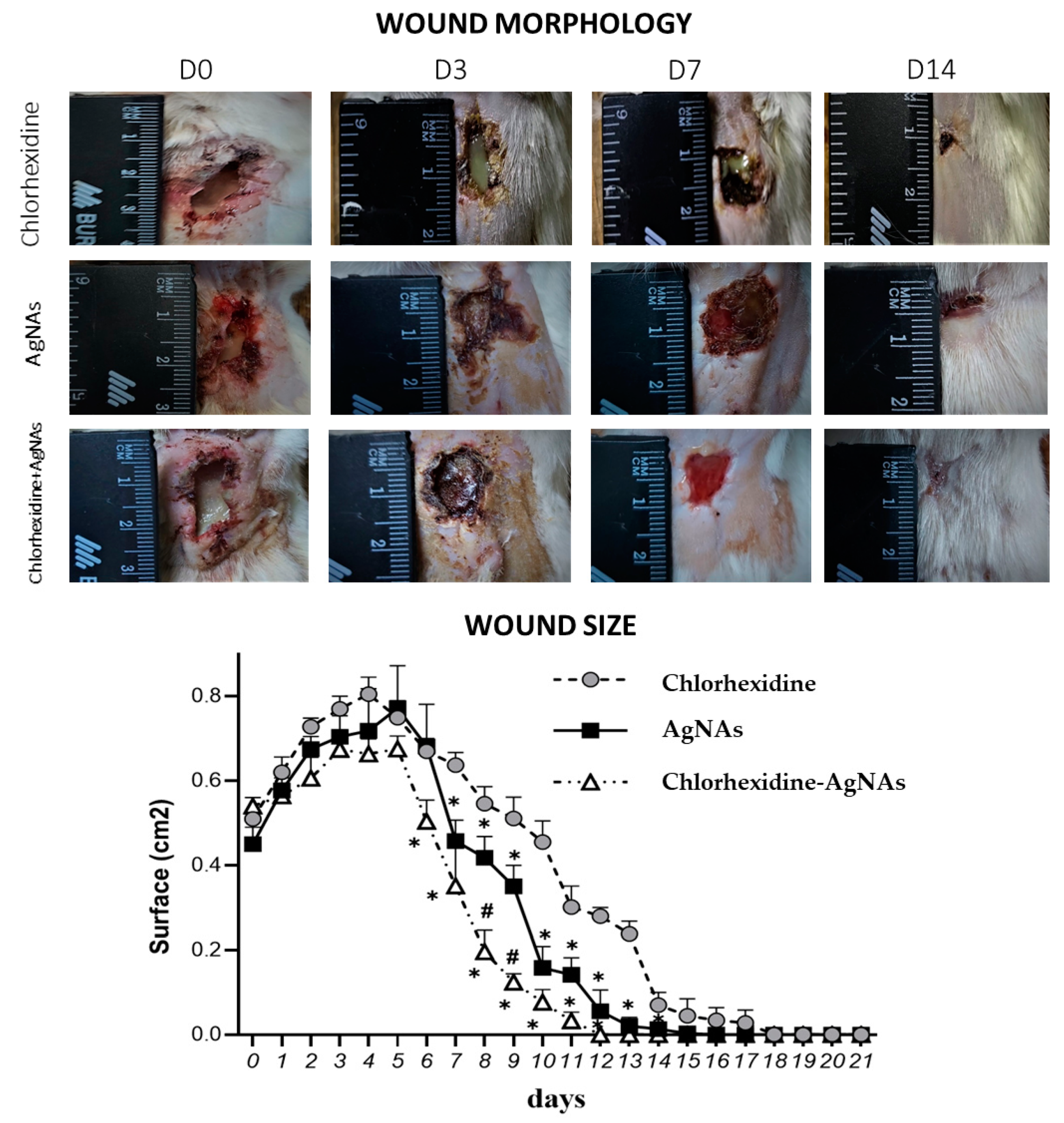 Biomedicines 09 01215 g004