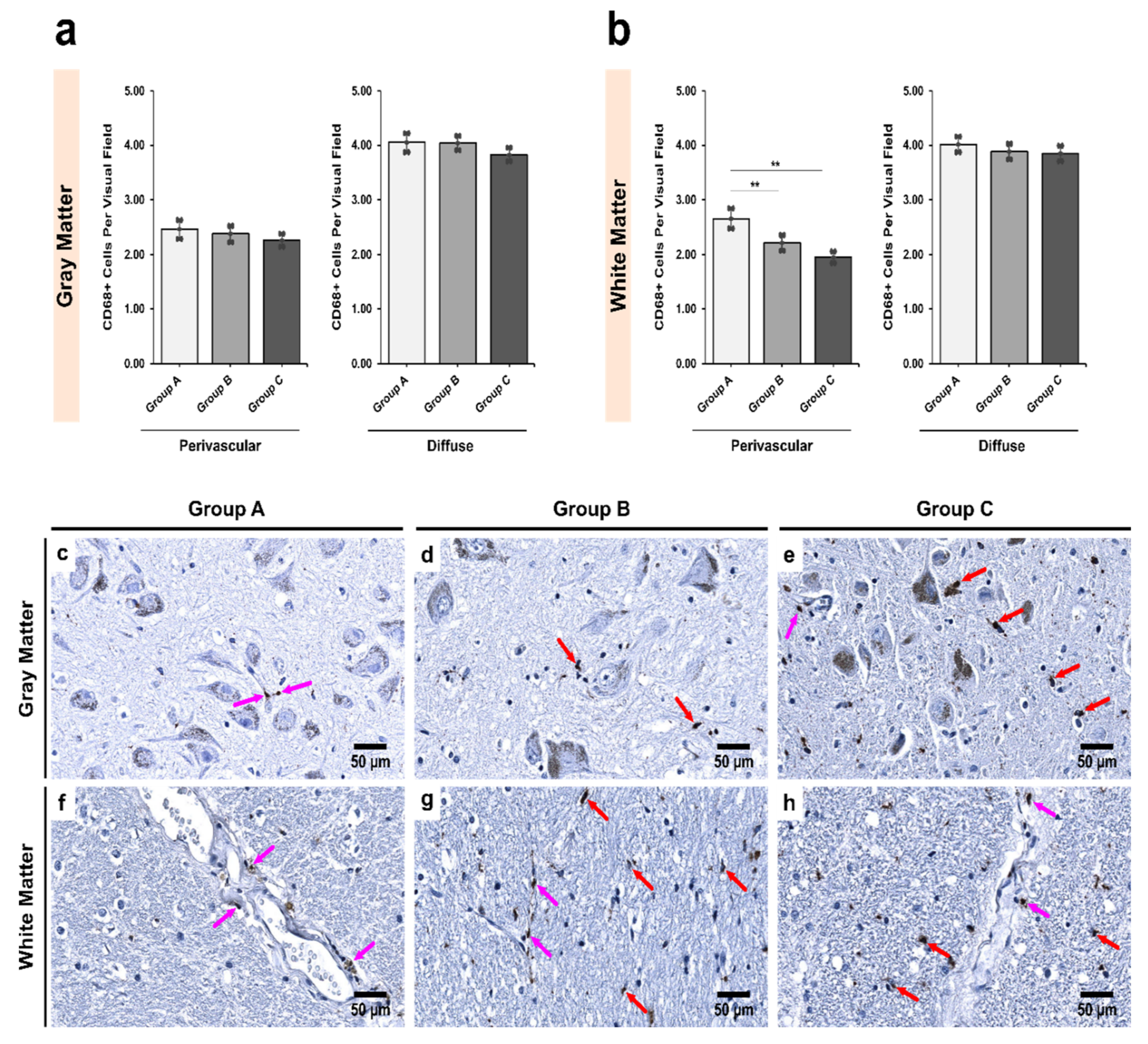 Biomedicines 09 01216 g001 Biomedicines 09 01216 g001