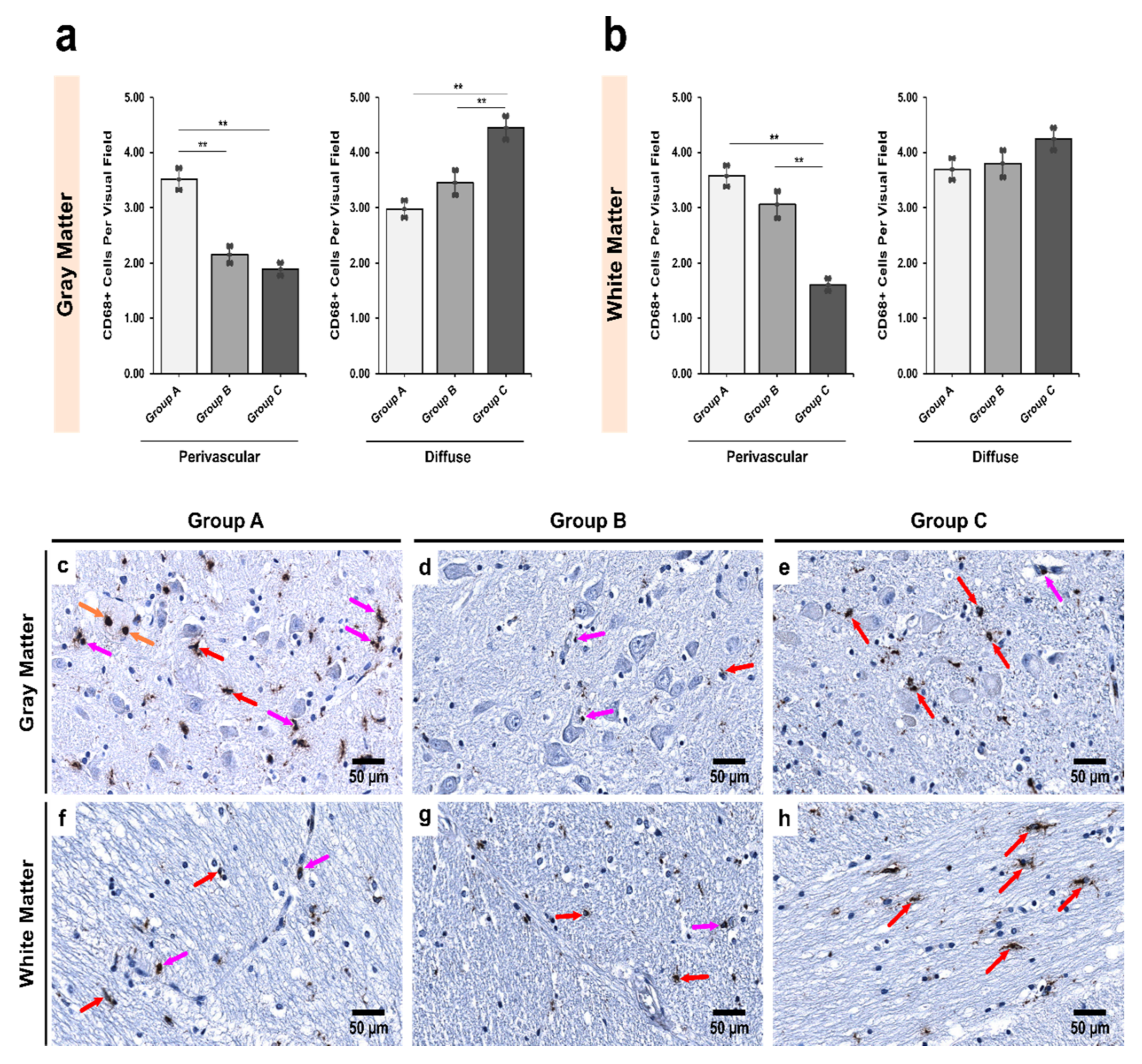 Biomedicines 09 01216 g002 Biomedicines 09 01216 g002