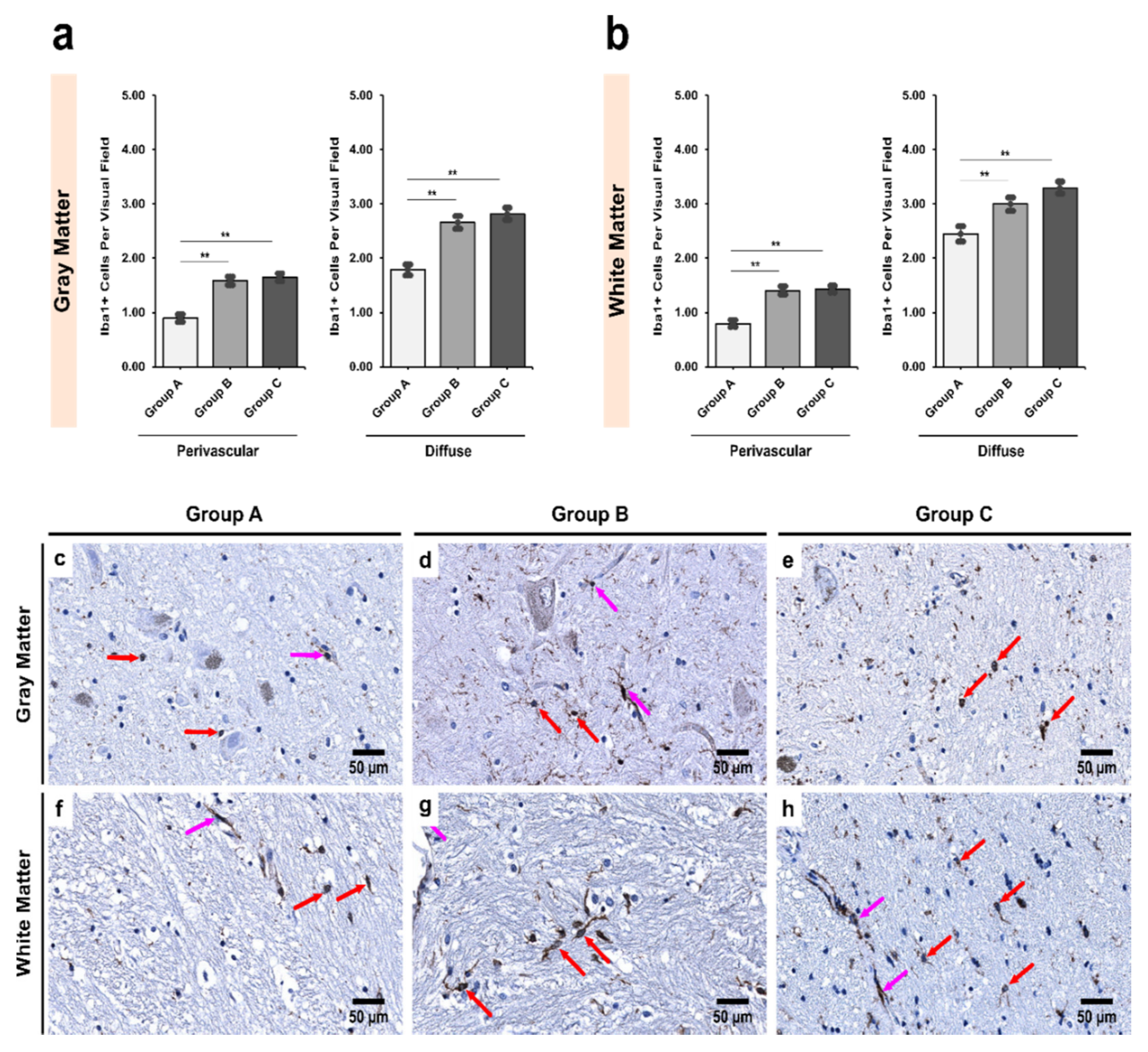 Biomedicines 09 01216 g003 Biomedicines 09 01216 g003