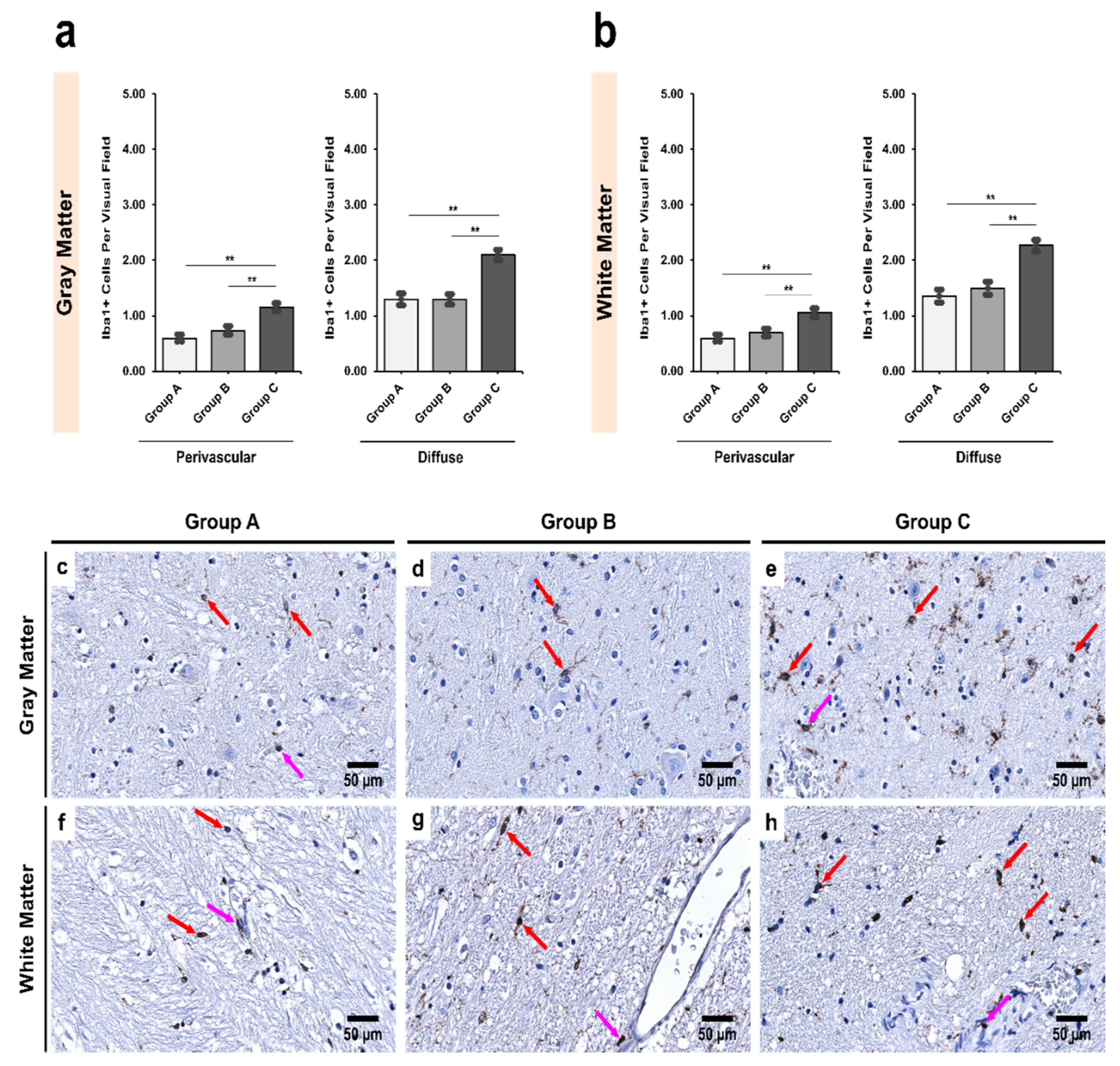 Biomedicines 09 01216 g004 Biomedicines 09 01216 g004