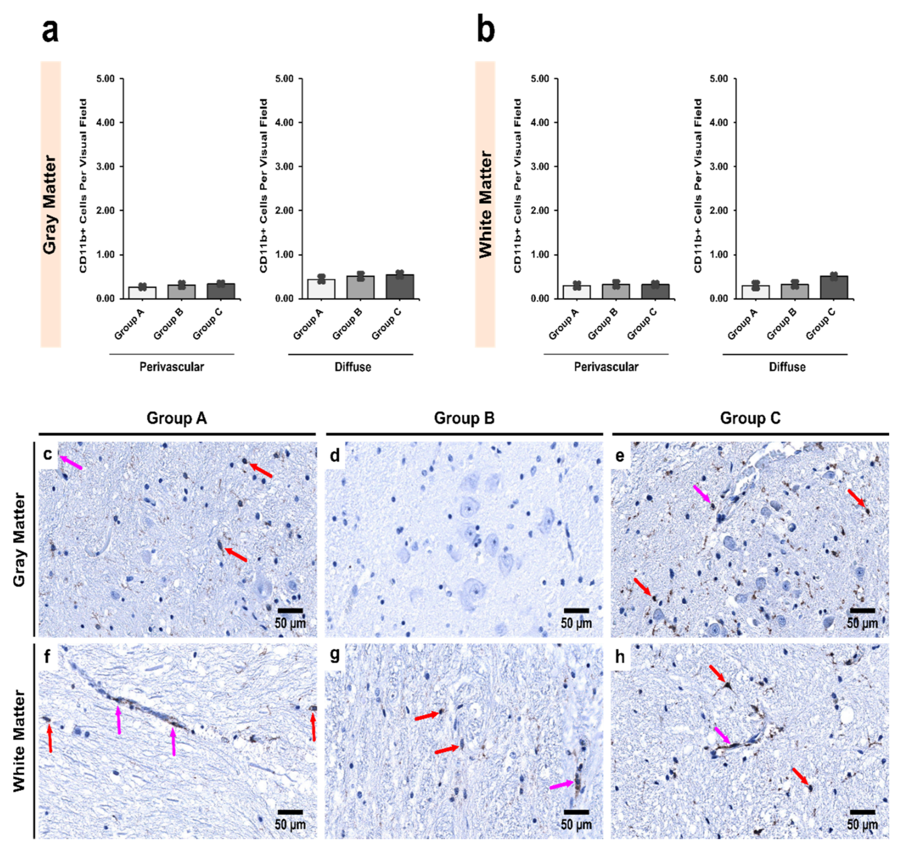 Biomedicines 09 01216 g006 Biomedicines 09 01216 g006