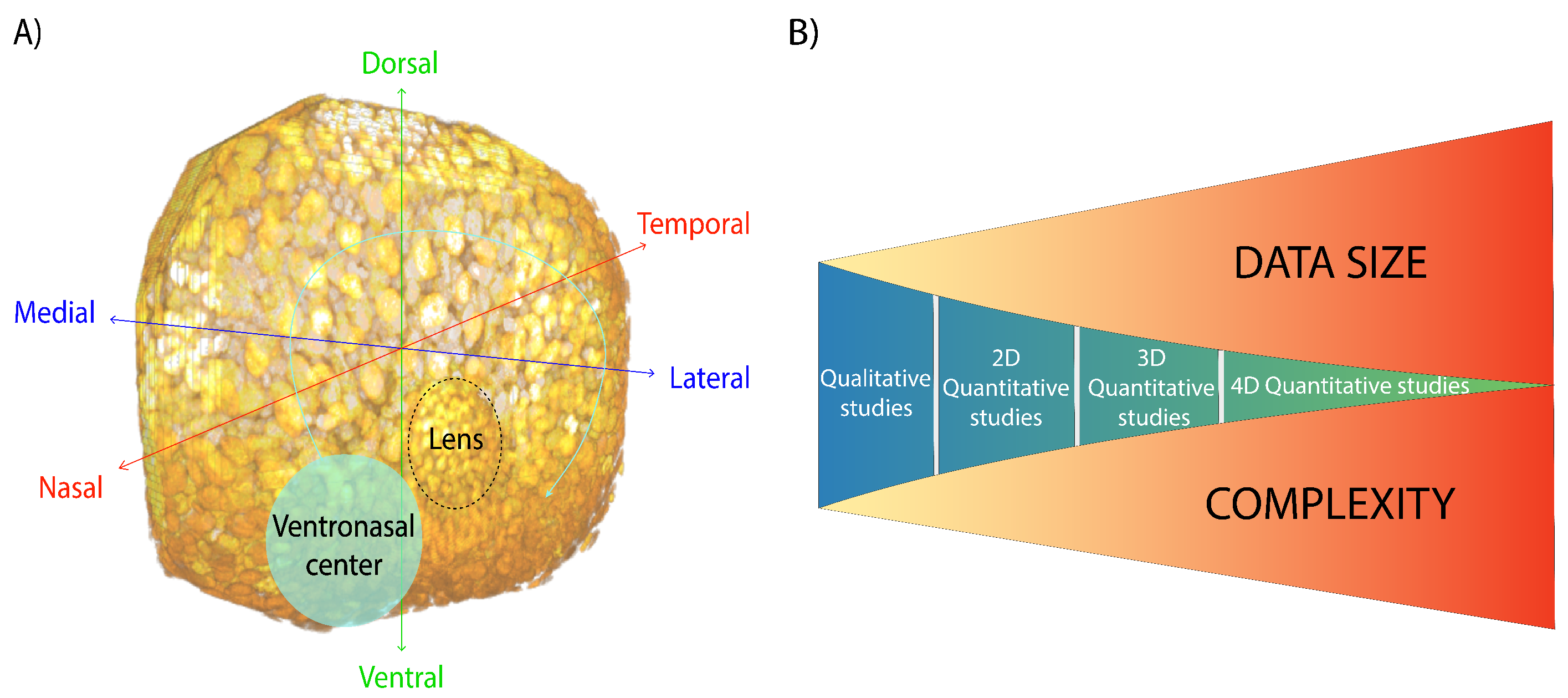 Retinal Variables for Visual Encoding – The Art of Data