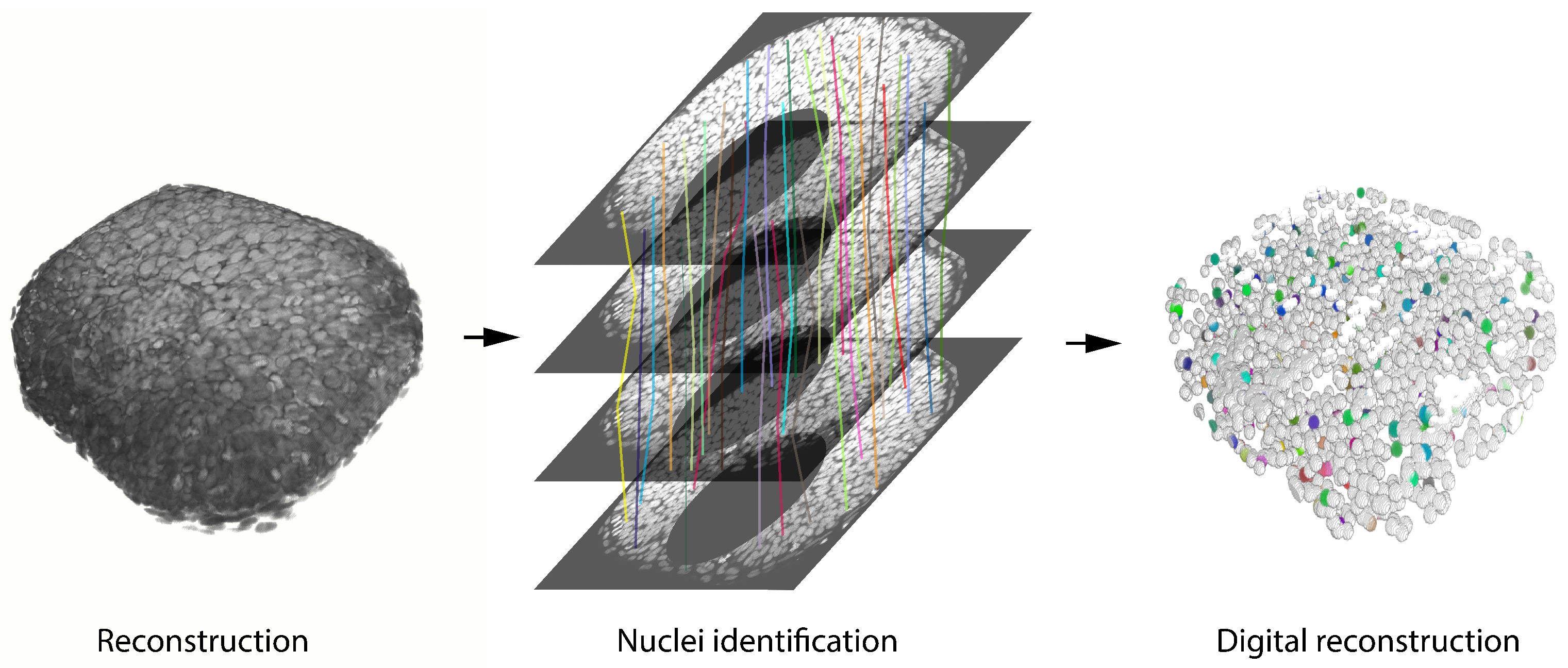 Biomedicines 09 01222 g004 Biomedicines 09 01222 g004