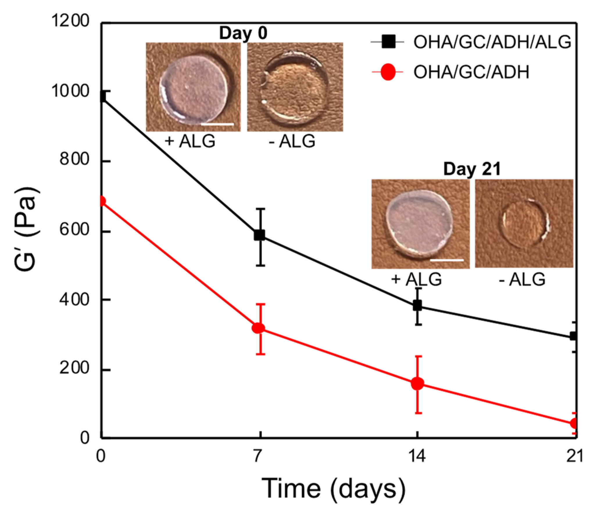 Biomedicines 09 01224 g003