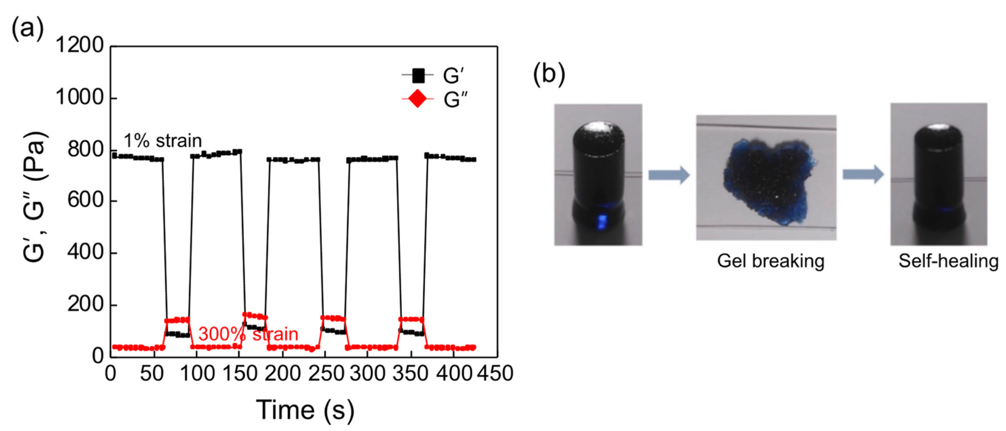 Biomedicines 09 01224 g004