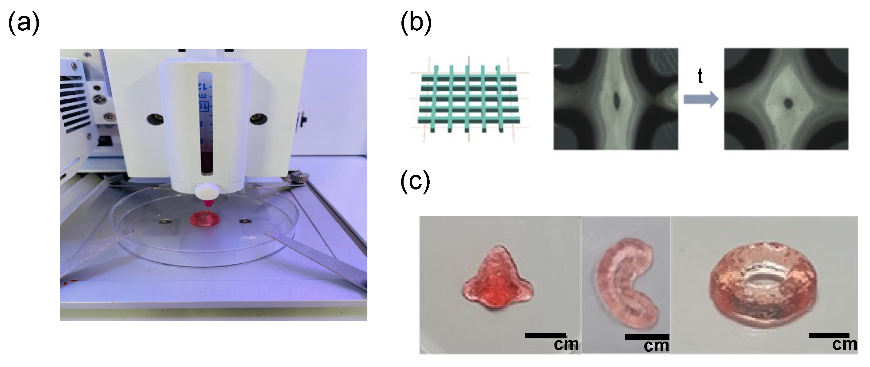 Biomedicines 09 01224 g005