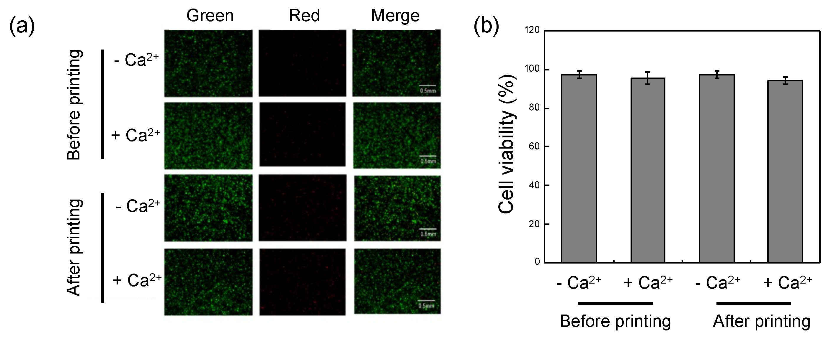 Biomedicines 09 01224 g006