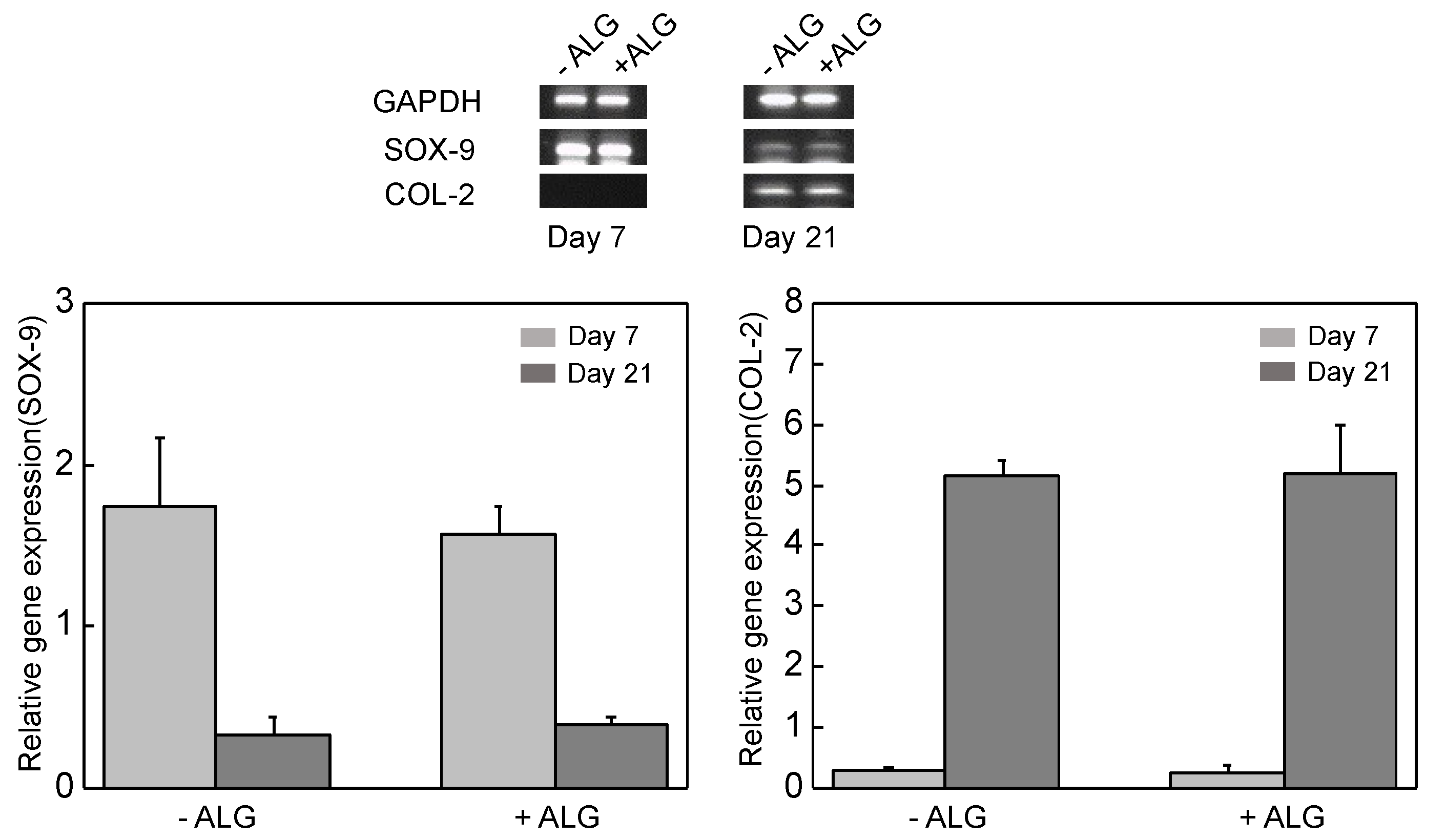 Biomedicines 09 01224 g007