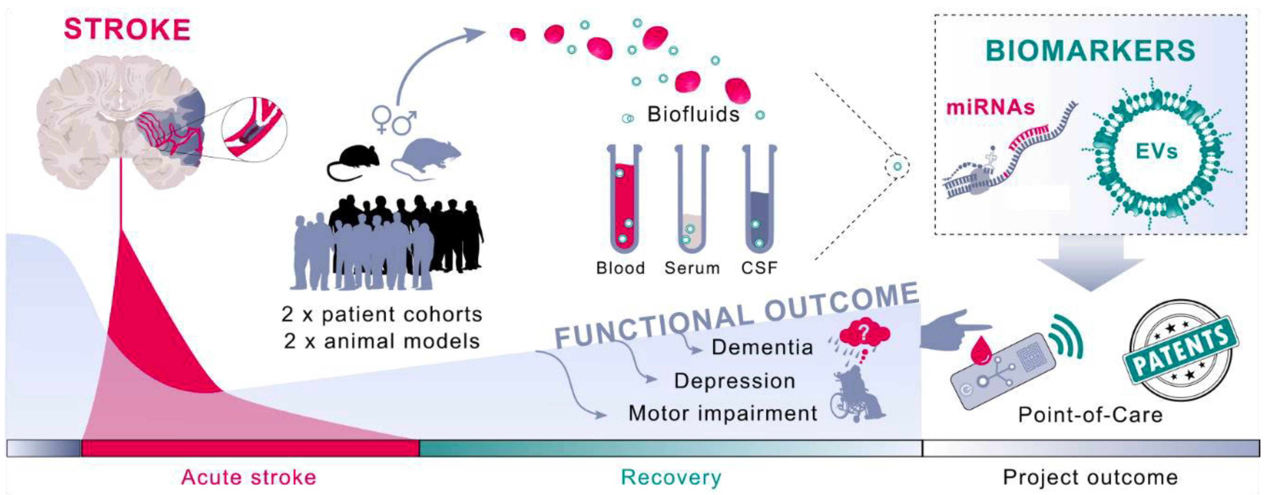 Biomedicines 09 01226 g002