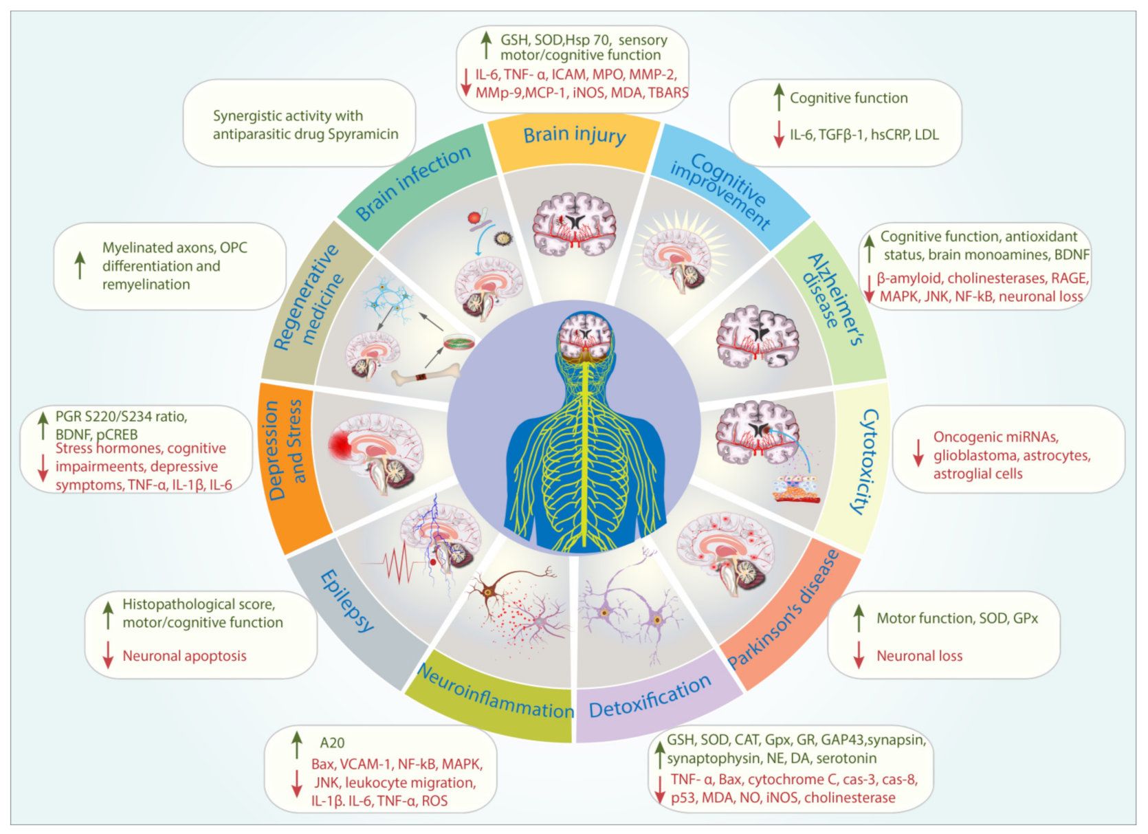 Biomedicines 09 01227 g004